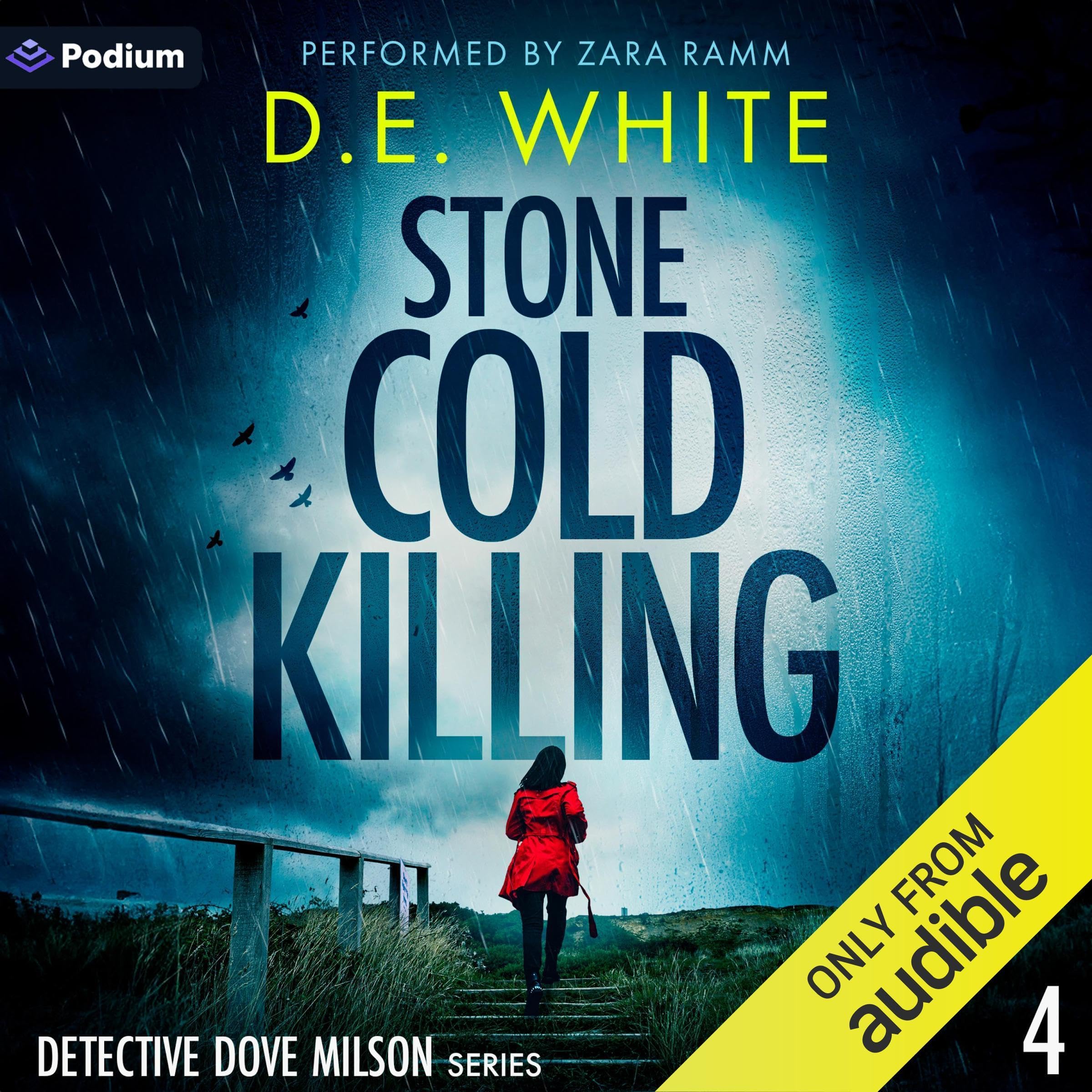 Cover art for Stone Cold Killing