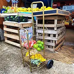 Carrinho de Compras Dobravél para Feira e Supermercado 4 Tubo PRATA com 2 Rodas Reforçadas Águia (Dourado)