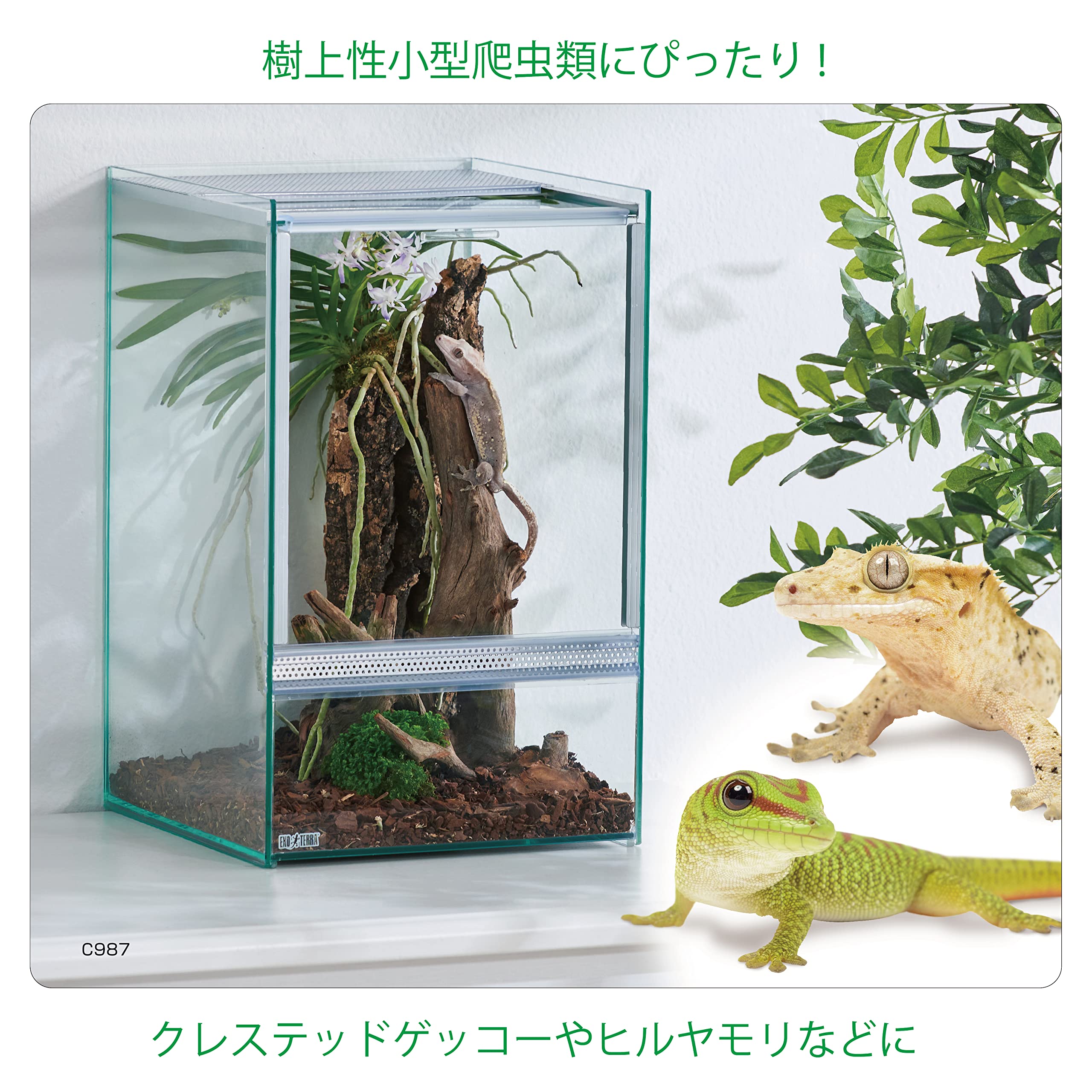 Amazon | エキゾテラ GEX EXOTERRA レプテリア クリアネオ 250High 