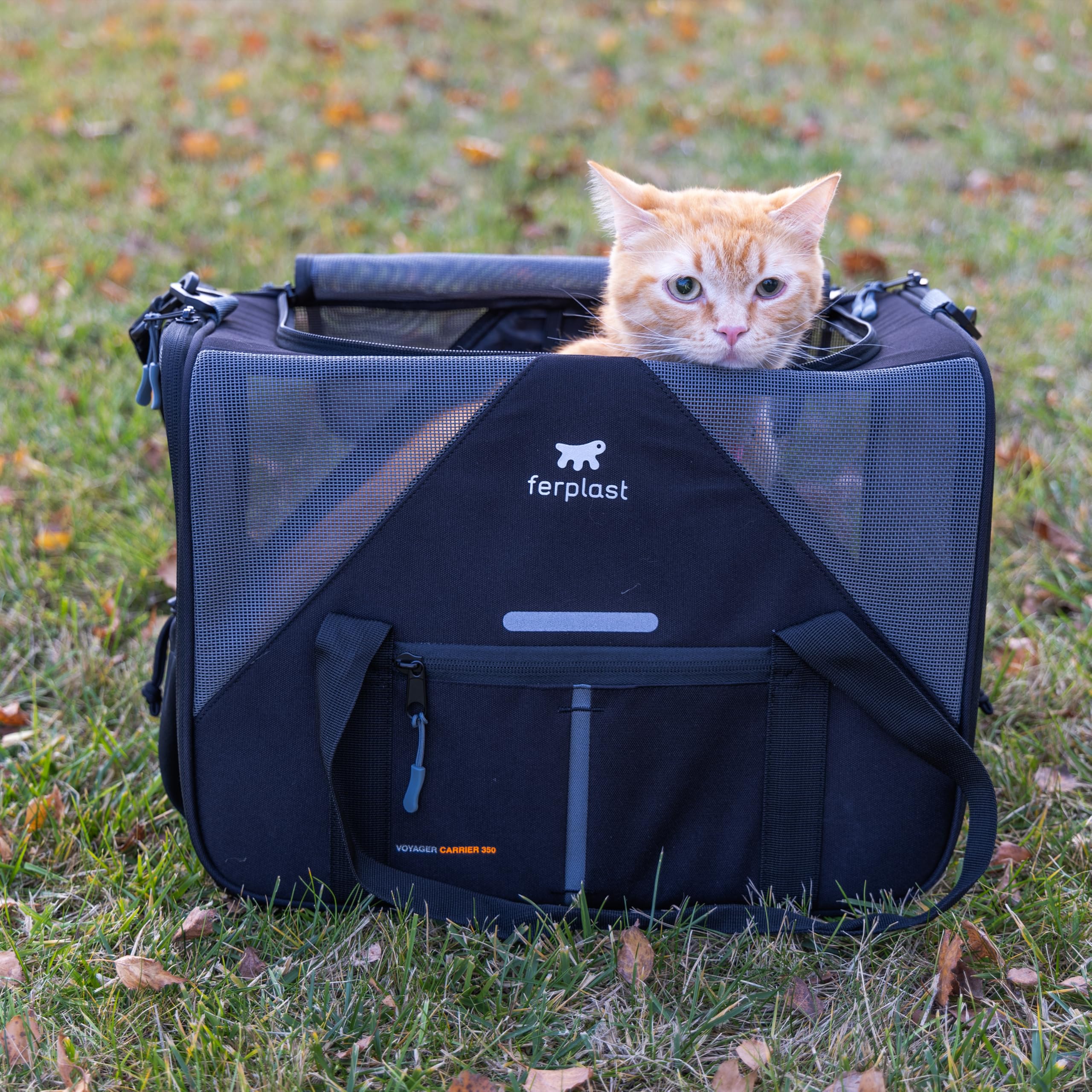 Ferplast Transportín Gato Voyager Carrier, Transportín Perro, Mochila para Gatos, Asas y Bandolera Regulables, Correa de Seguridad, Doble Apertura Lateral, con Cojín, Máx. 15 kg, 45x30x h33 cm, Gris