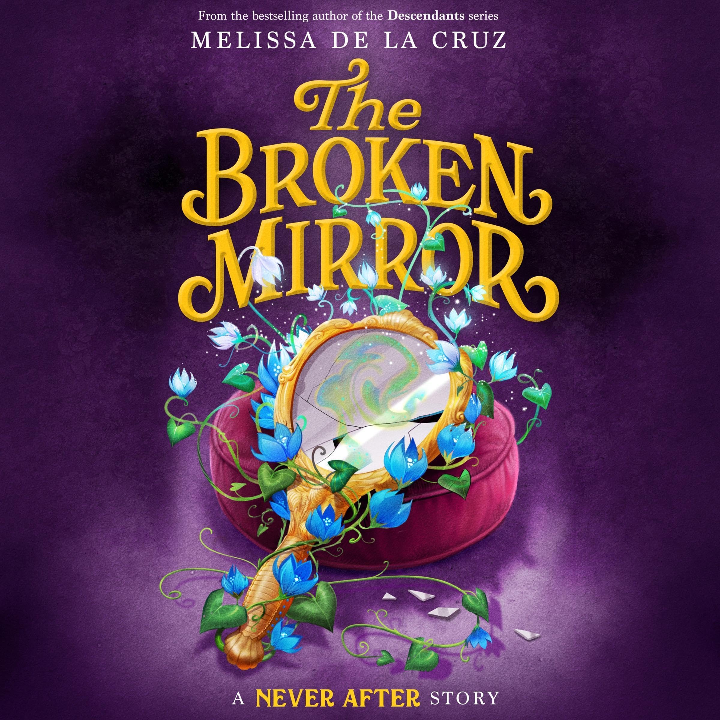 Cover art for Never After: The Broken Mirror