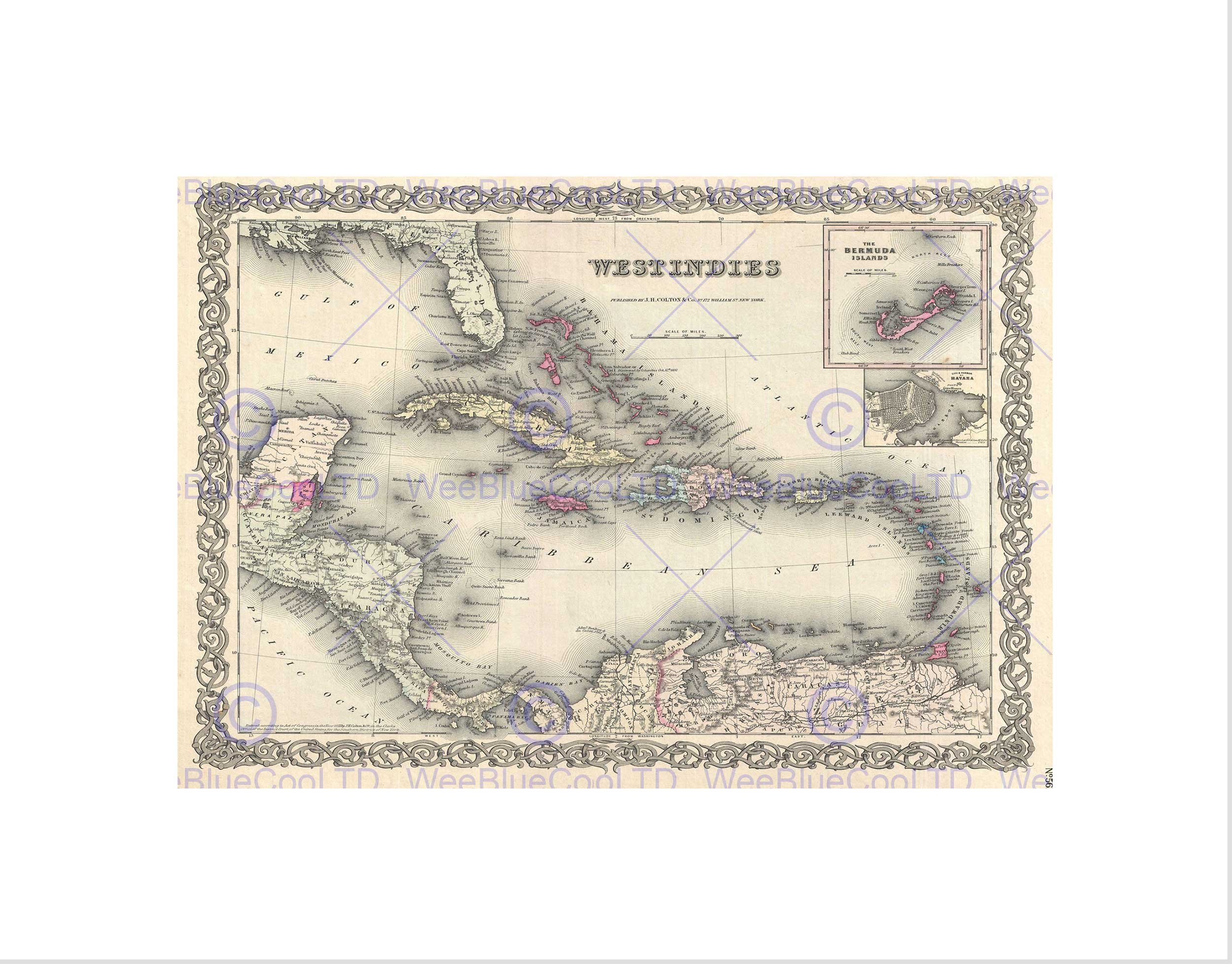 Wee Blue Coo 1855 Colton Map The West Indies Vintage Picture Wall Art Print