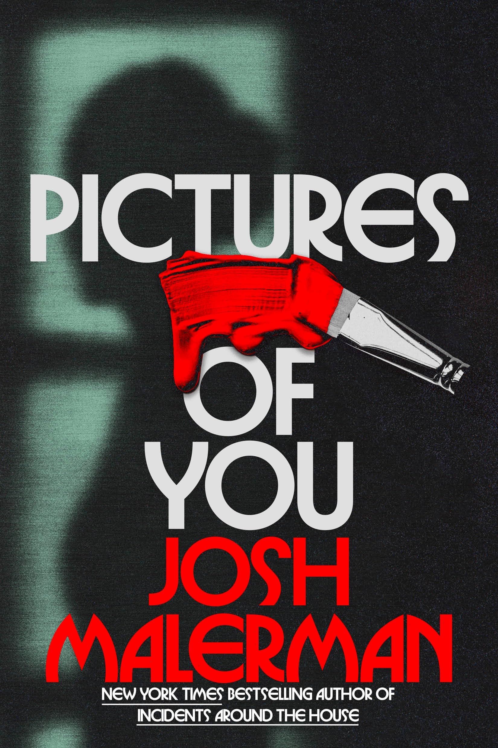 Pictures of You: A chilling psychological nightmare from the author of Bird Box