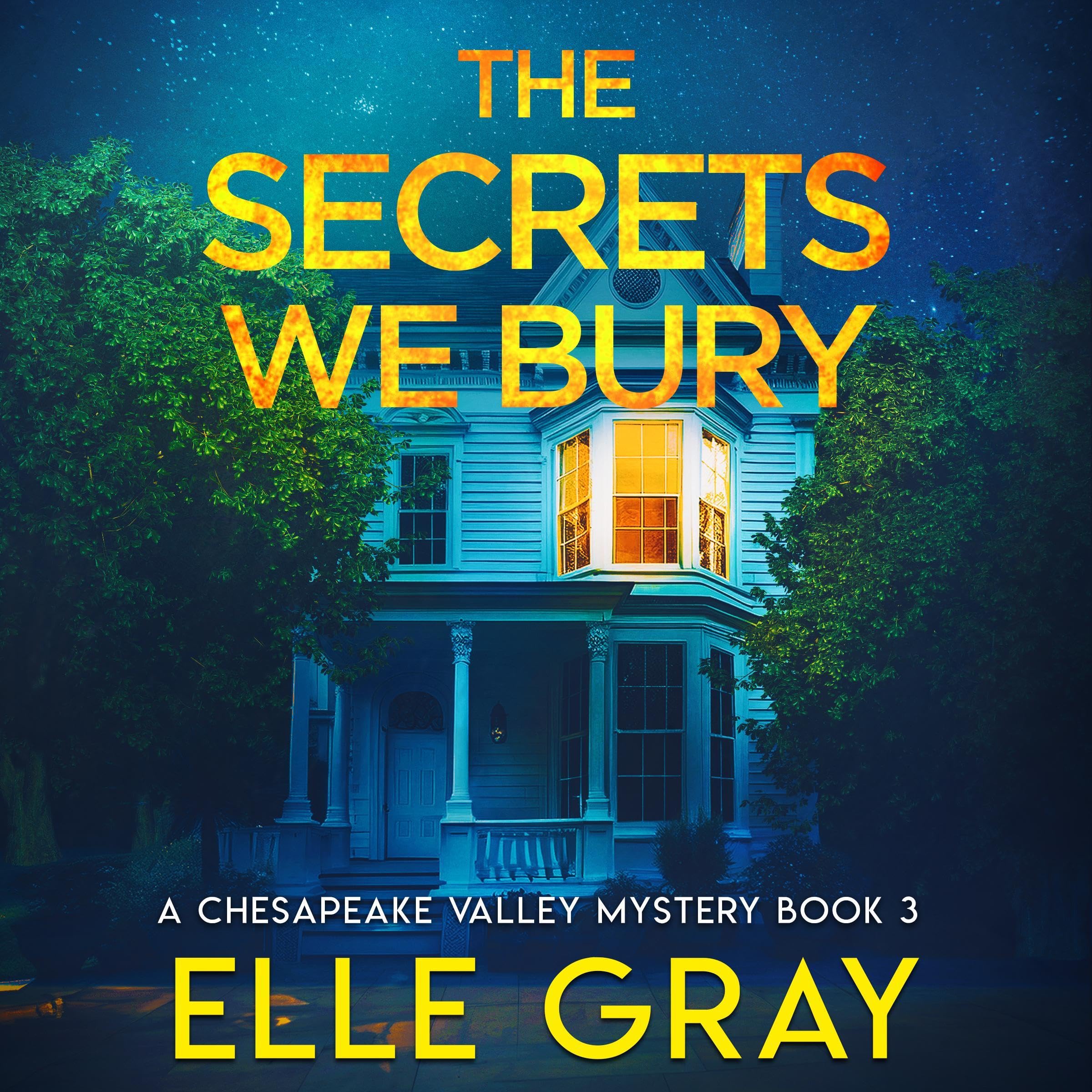 Cover art for The Secrets We Bury