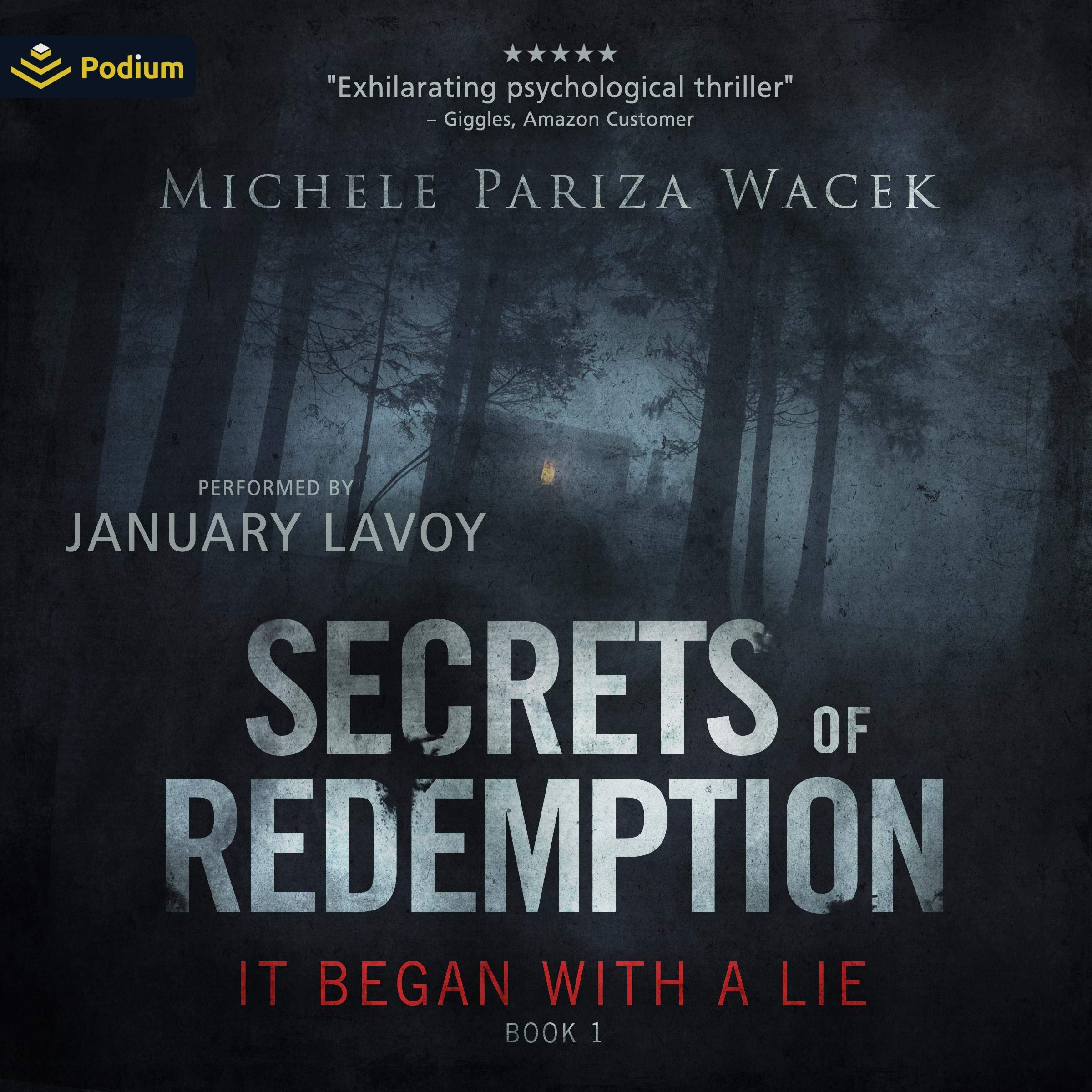Cover art for It Began with a Lie