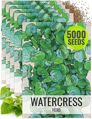Miniatura 8 de Seed Needs True Waterberros semillas de hierba para plantar Nasturtium officinale paquete doble de 500 semillas cada una reliquia sin OMG y sin