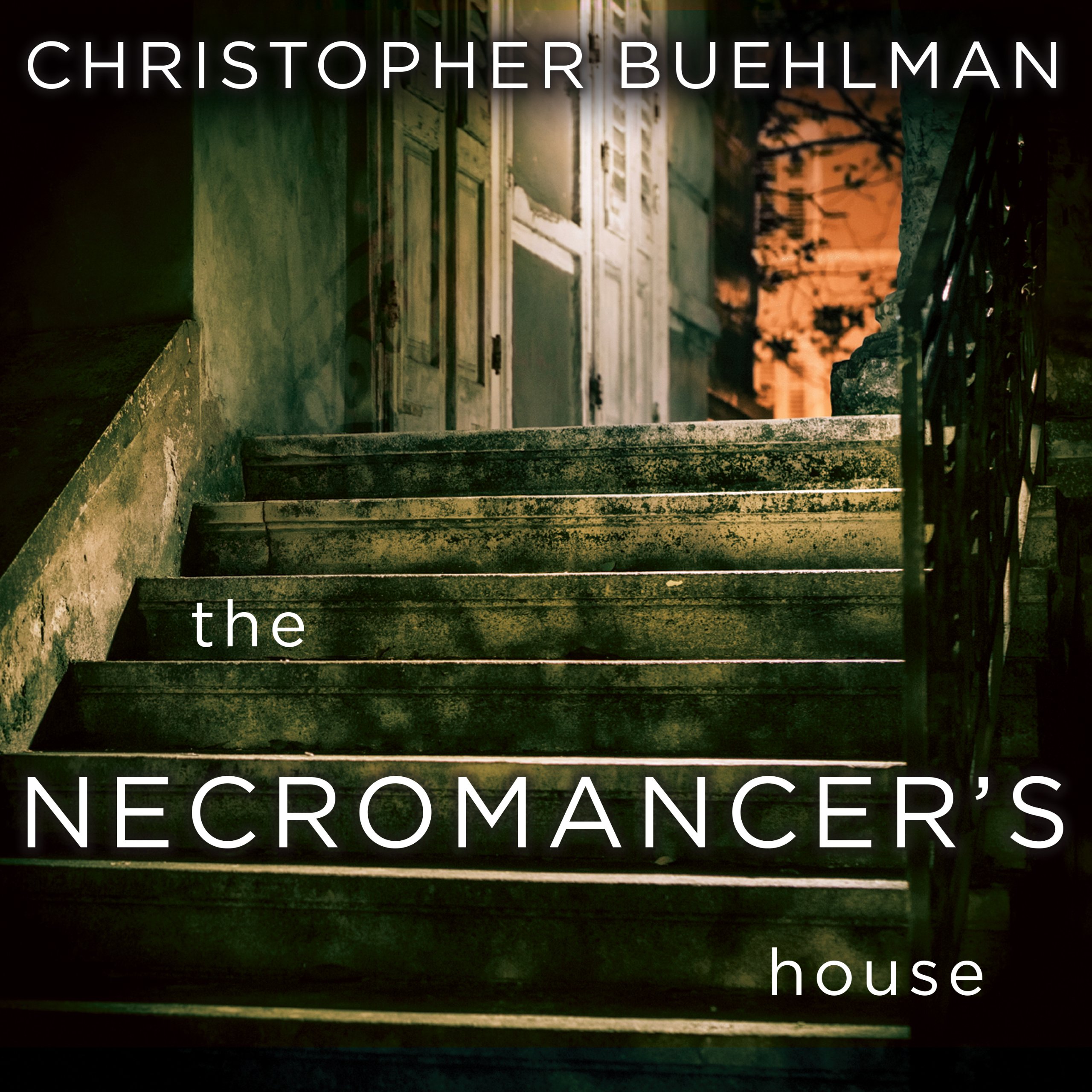 Cover art for The Necromancer's House
