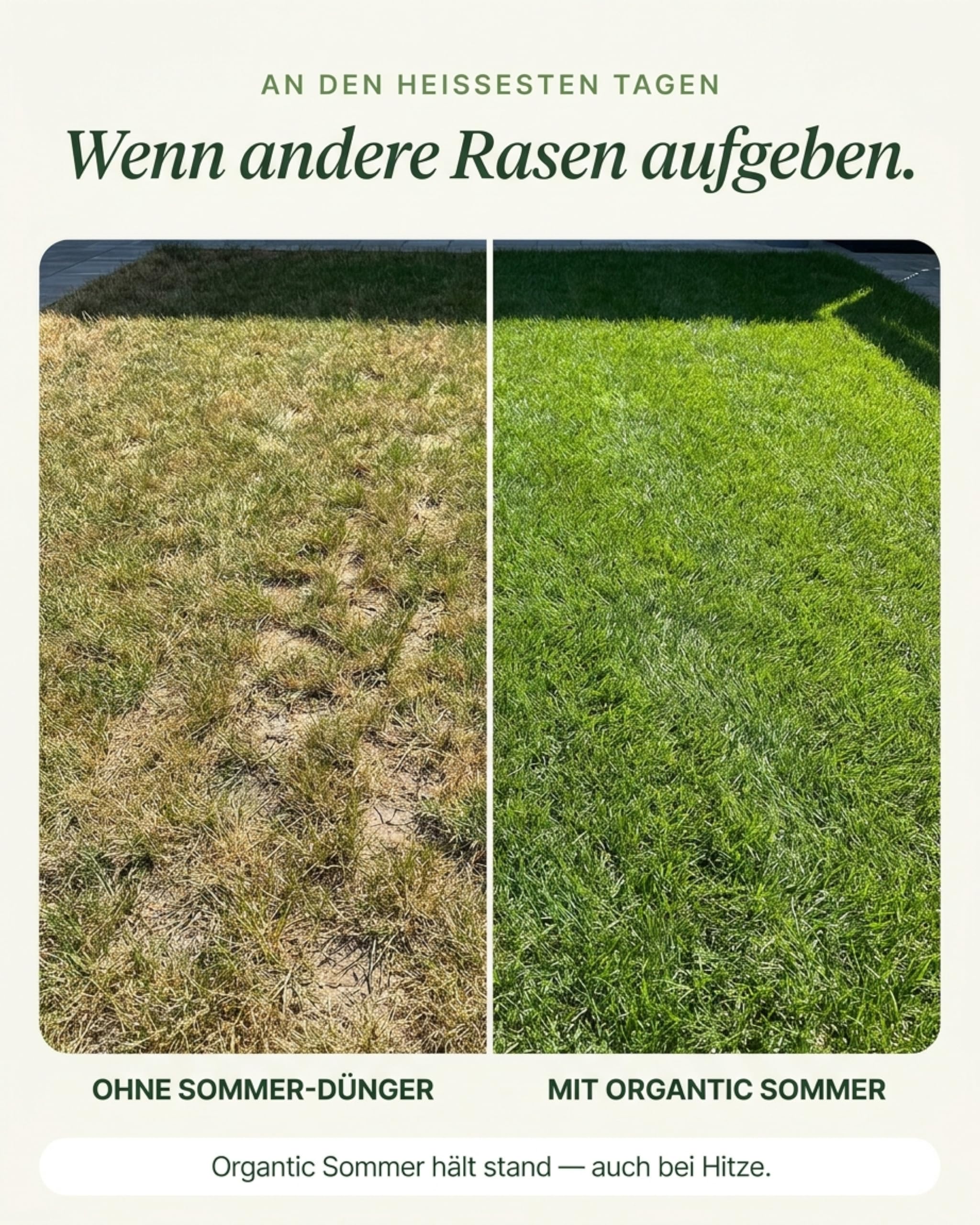 Organtic Sommerrasendünger 20kg, Dünger für sattgrünen Rasen, bekämpft Moos, für Streuwagen