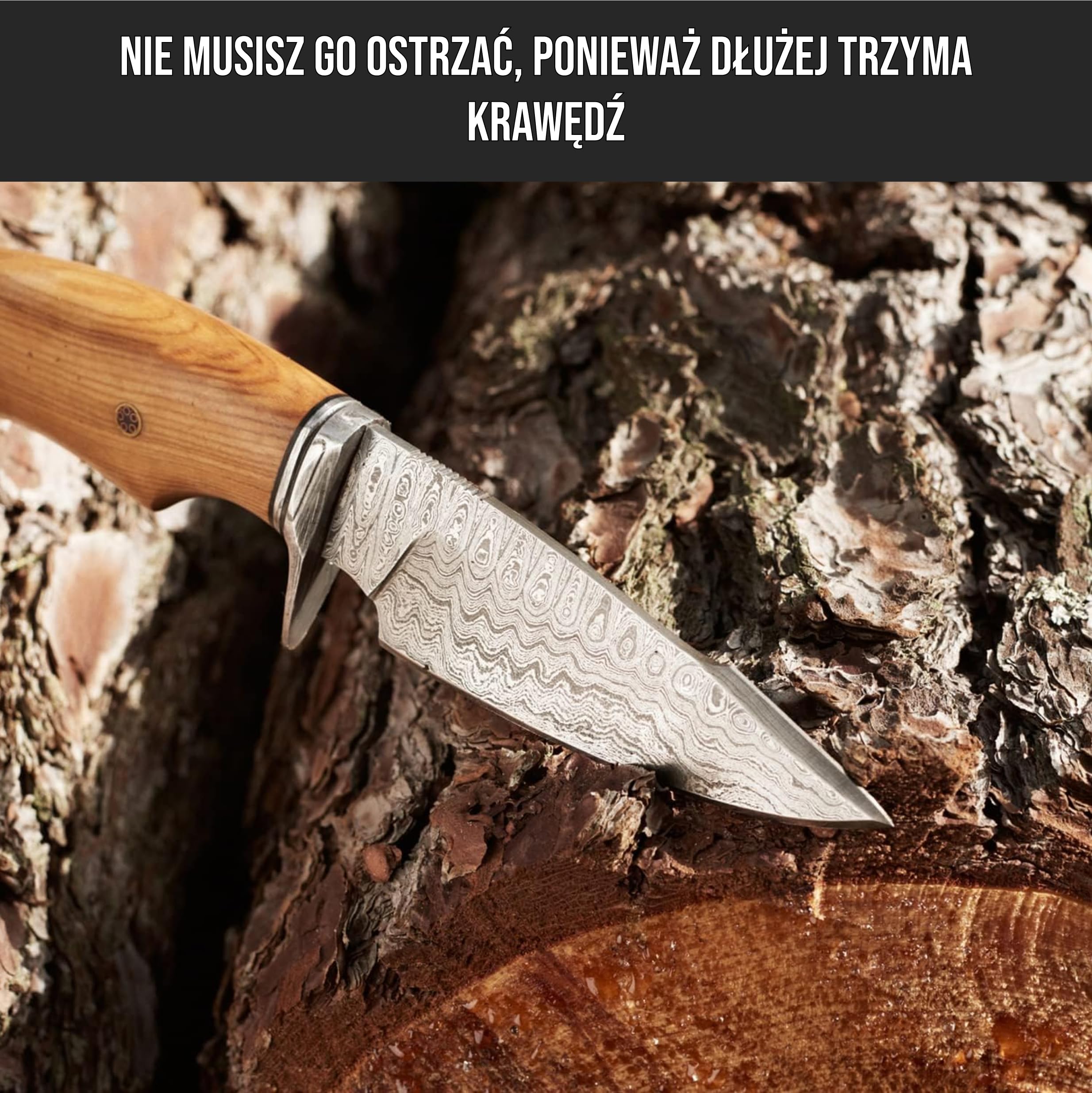 BIGCAT ROAR Ręcznie Robiony Nóż Myśliwski z Damastu - Stały Nóż do Bushcraftu z Futerałem i Rękojeścią z Drewna Oliwnego - 10″ Nóż do Skórowania - Łowca Drapieżników