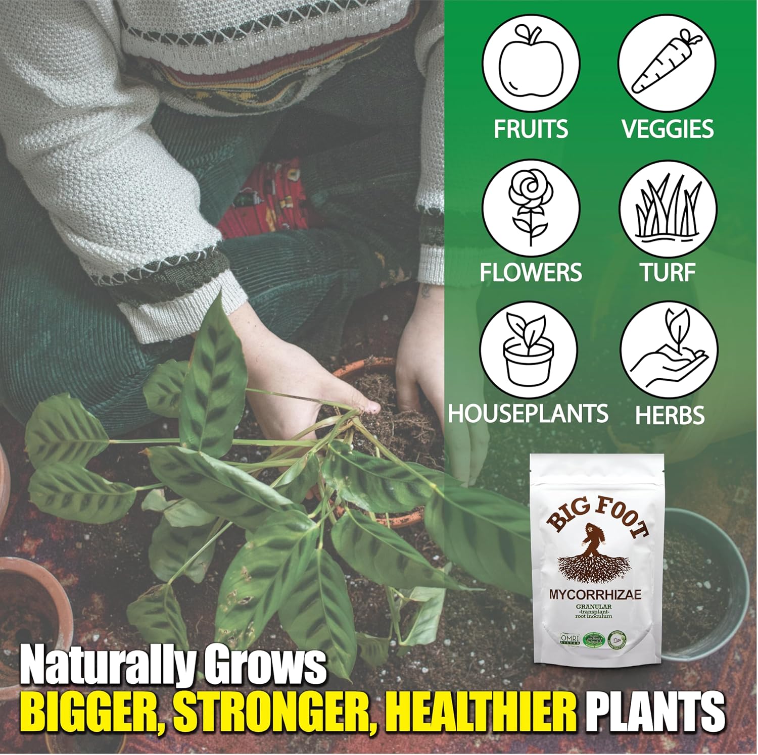 Big Foot Mycorrhizal Fungi Granular for Transplants - for All Plants - Easy to Use Root Stimulator - Treats 240 Plants (60K mycorrhizal Spores) - Double Your Plant Size - 2 Pounds