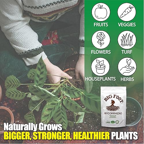 Miniatura 2 de Big Foot Hongos micorrícicos granulares para trasplantes - para todas las plantas - Estimulador de raíces fácil de usar - Trata 1200 plantas