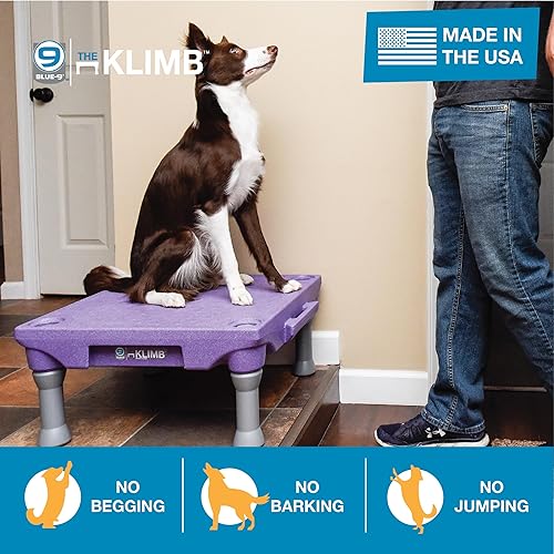 Miniatura 3 de Blue-9 Pet Products KLIMB - Plataforma de entrenamiento para perros y sistema de agilidad duradero y portátil para uso en interiores o exteriores