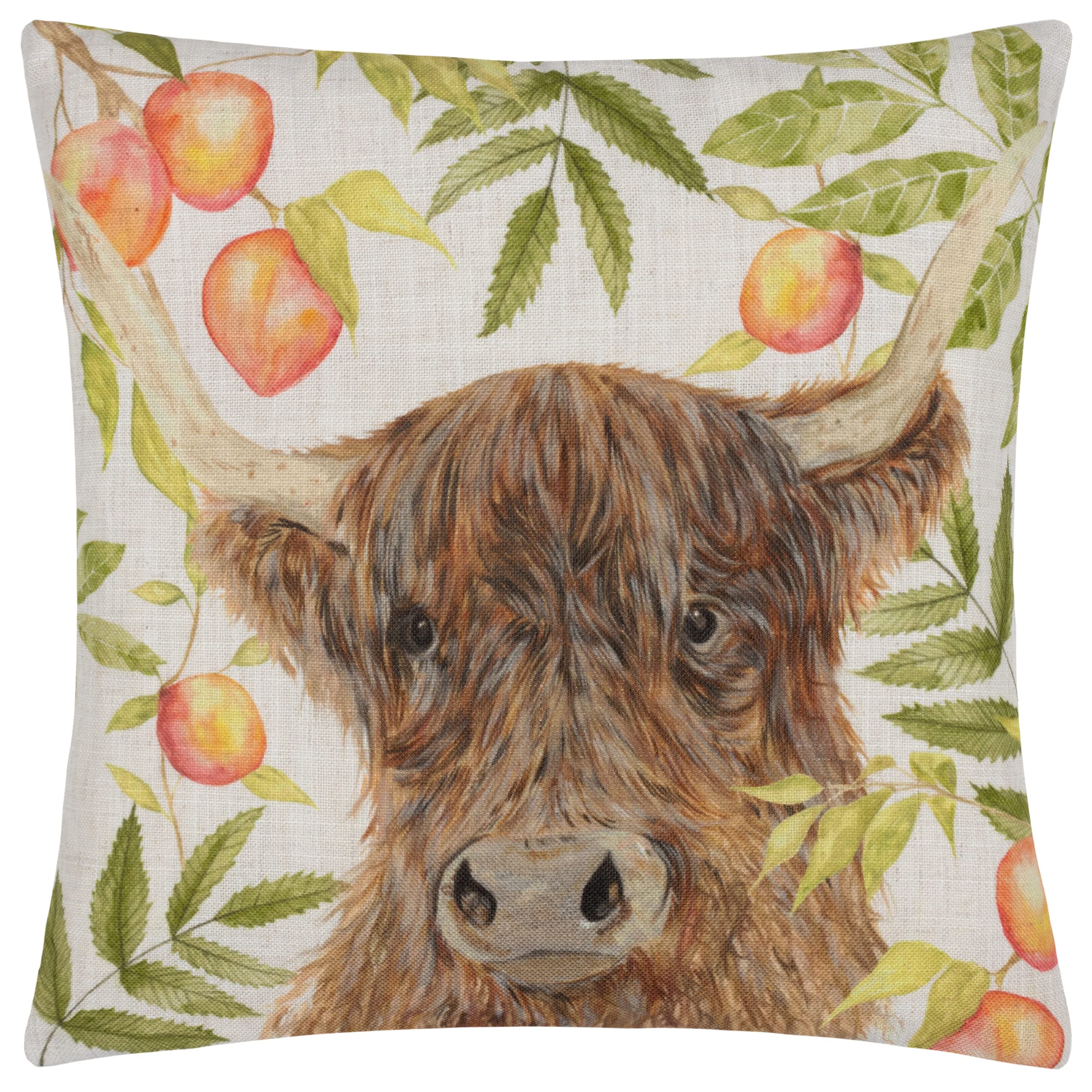 Evans Lichfield Grove Highland Cow Hand Painted Polyester Filled Cushion Natural Extra