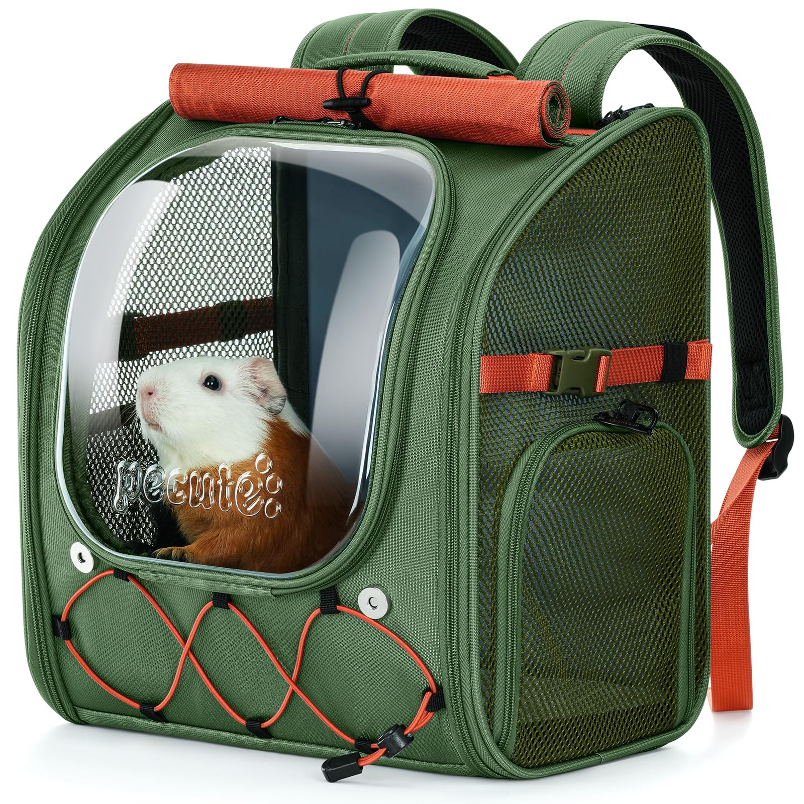 pecute small pet carrier, breathable guinea pig carrier with transparent bubble & steel frame, safety lock for hamster, rabbit, bearded dragon, lizard, ideal for hiking, vet visits, camping, green