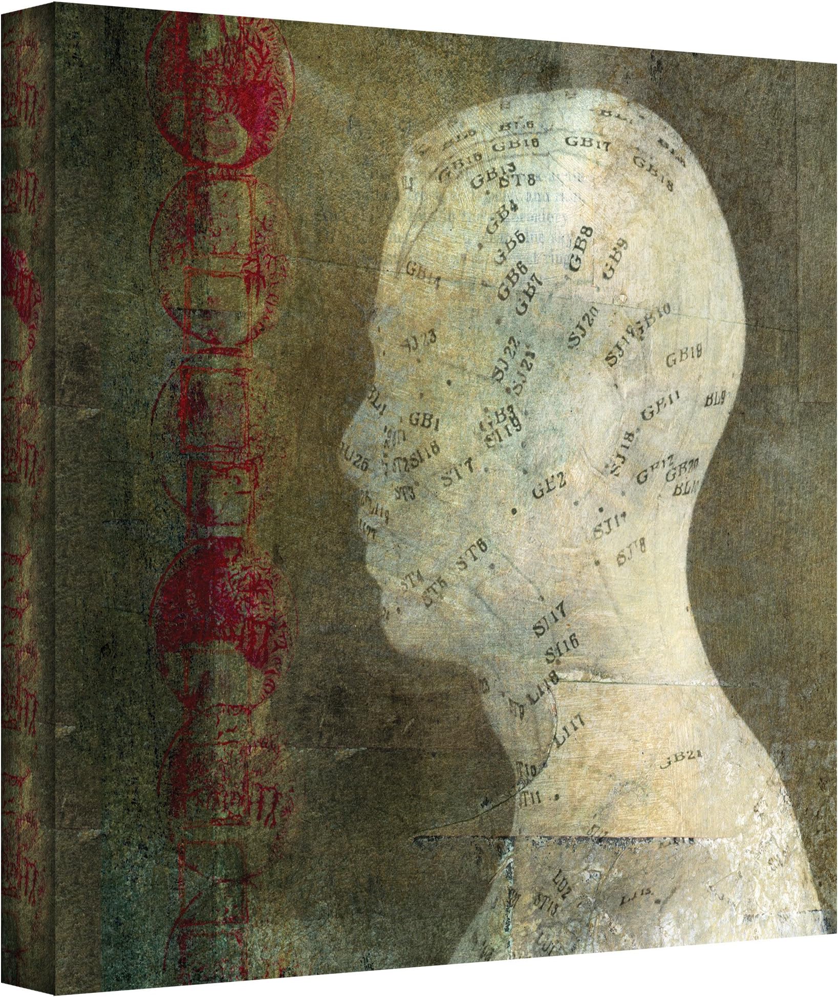 ArtWall Acupuncture Gallery-Wrapped Canvas Art by Elena Ray, 36 by 36-Inch