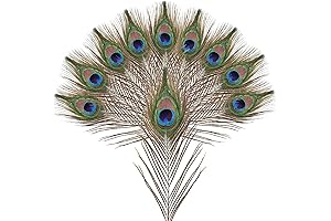 Peacock Feathers in Bulk: 10pcs Natural Enhancements for DIY Creations and Special Occasions