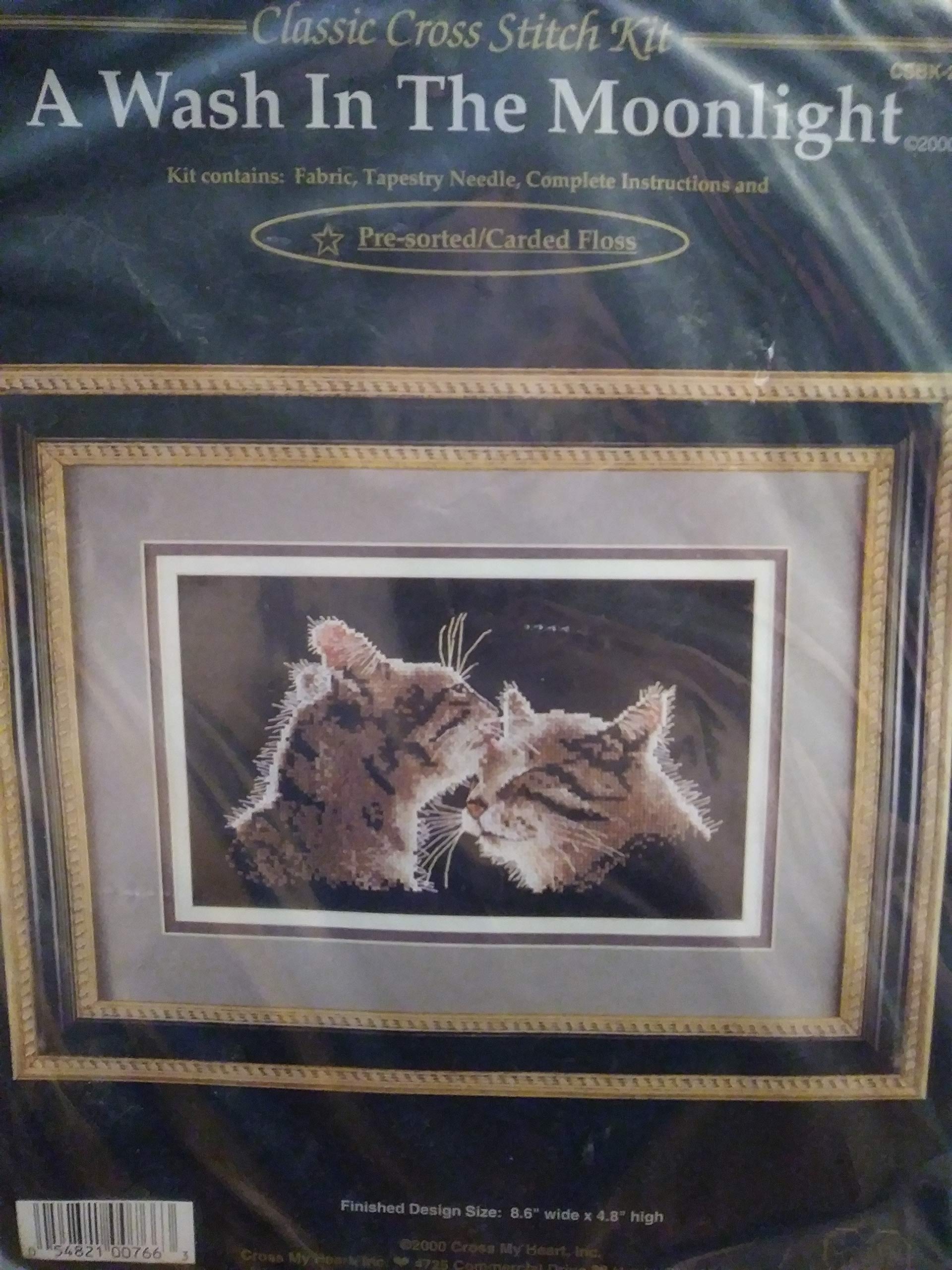 A wash in the moonlight. Counted cross stitch kit