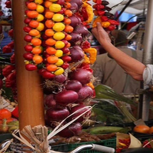 Meat and Potato Stew - //medicalbooks.filipinodoctors.org