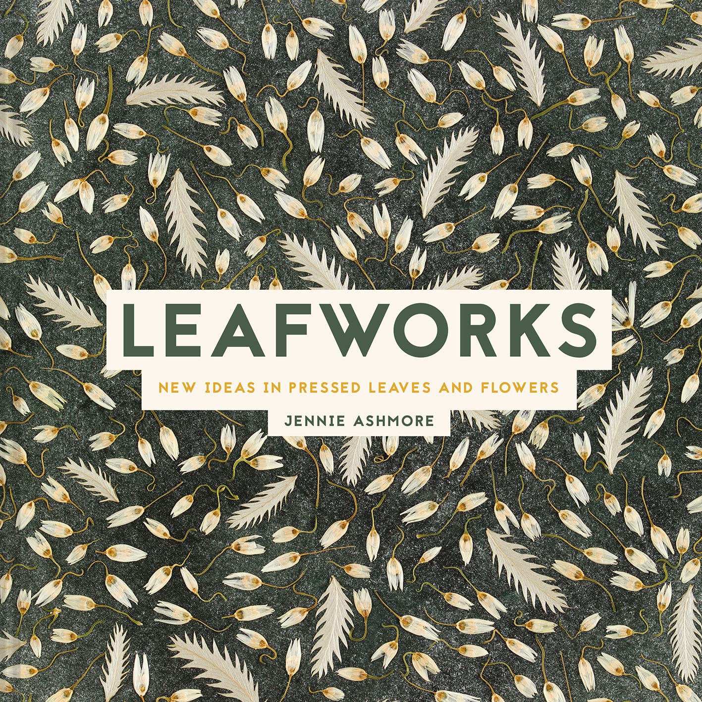 Amazon Leafworks New Ideas in Pressed Leaves and Flowers Ashmore