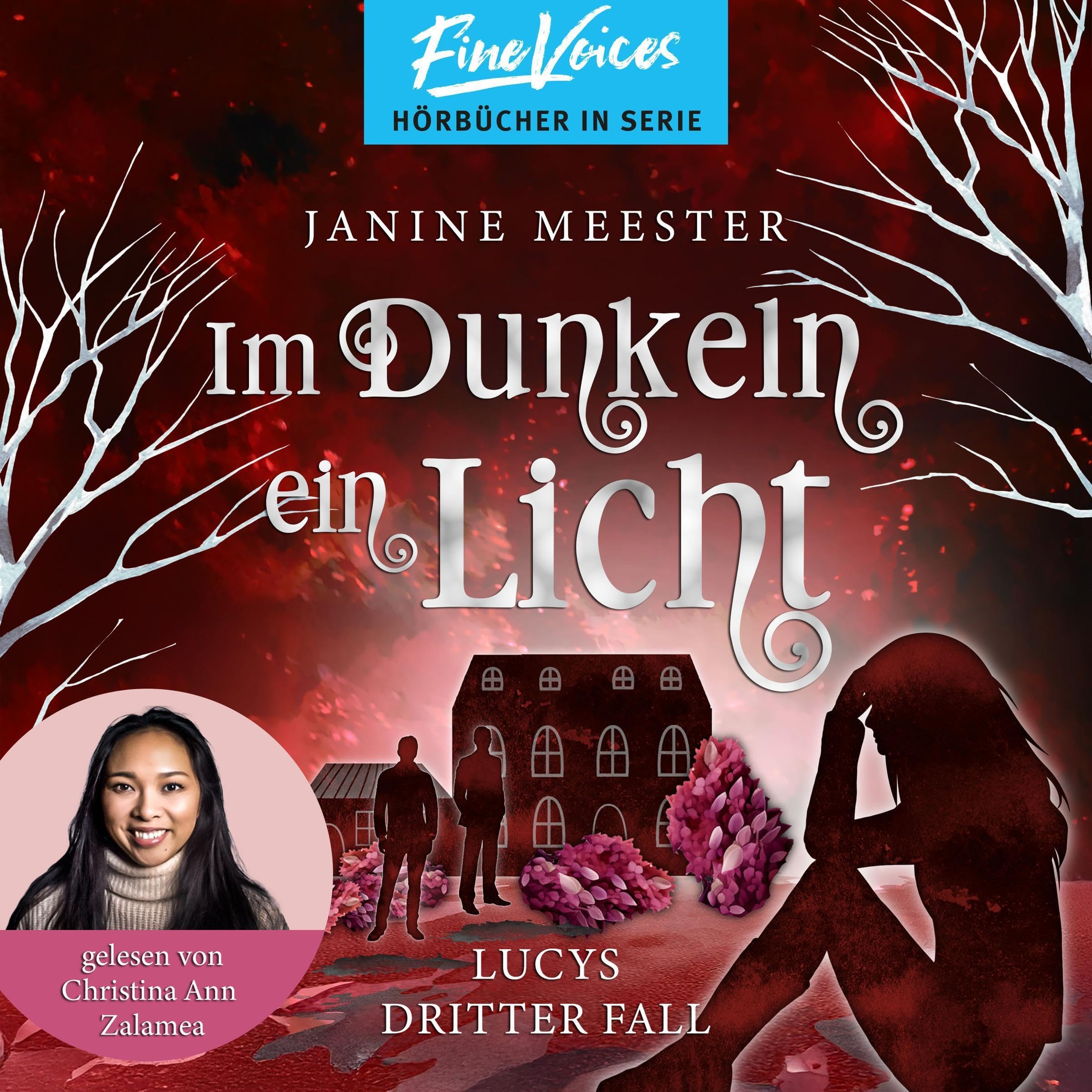 Cover art for Im Dunkeln ein Licht