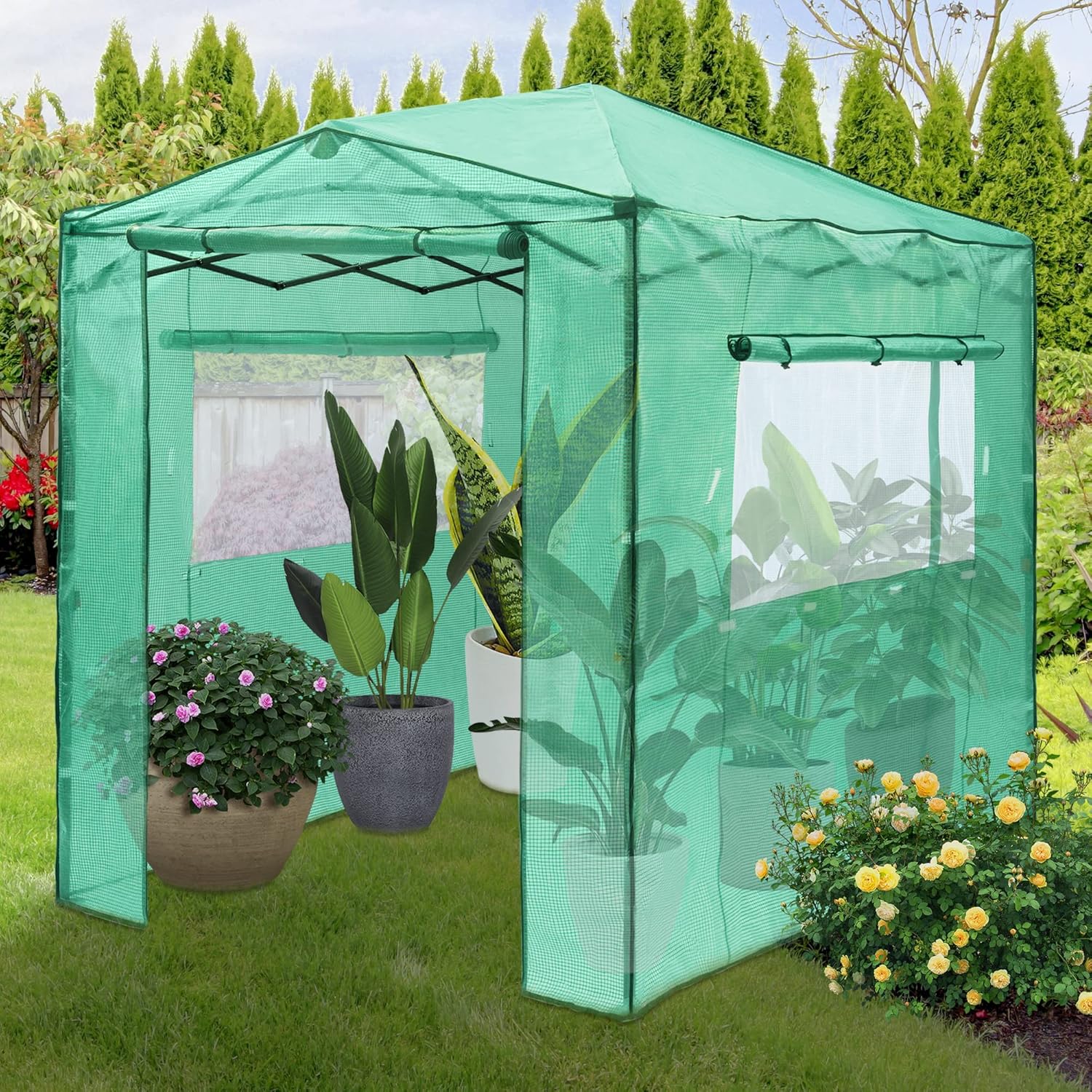 ASTEROUTDOOR 8' x 6' Portable Walk-in Instant Pop up Greenhouse for Outdoor Plant Garden Greenhouse,Front and Rear Roll-up Zipper Entry Doors and Roll-Up Side Windows, Green