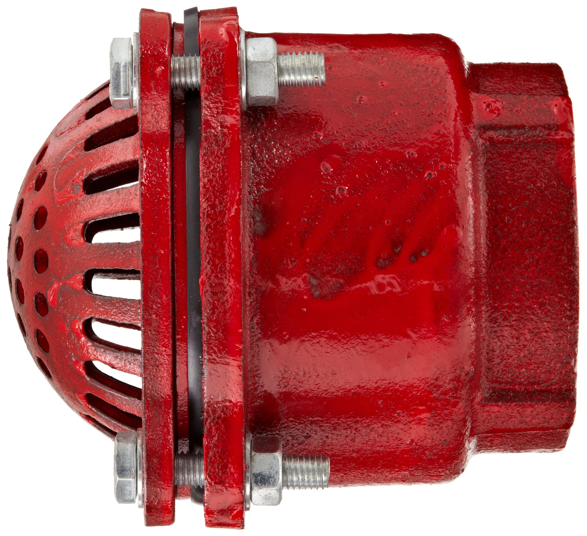 Dixon DFVS35 Painted Carbon Threaded Foot Valve Complete Assembly, 3