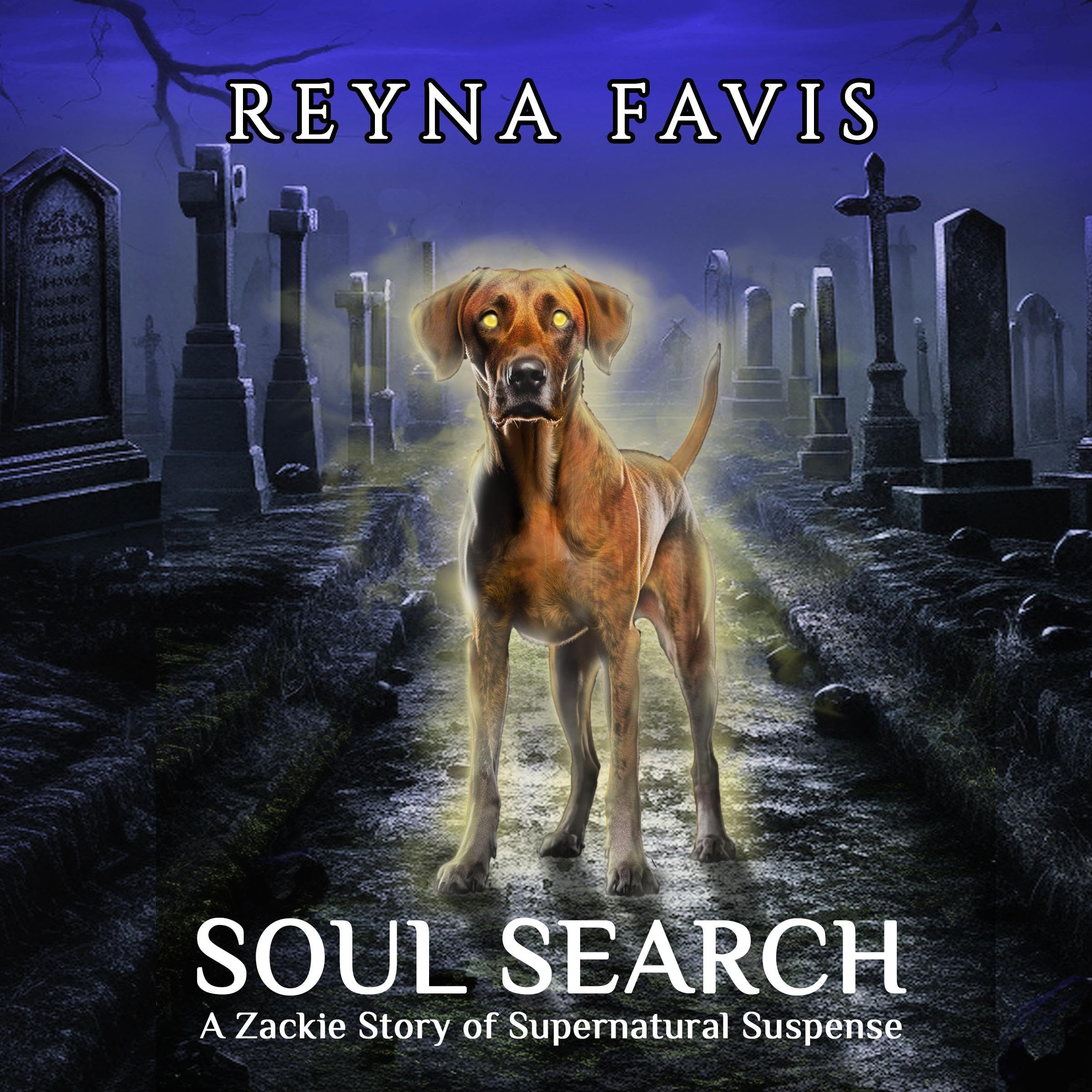 Cover art for Soul Search