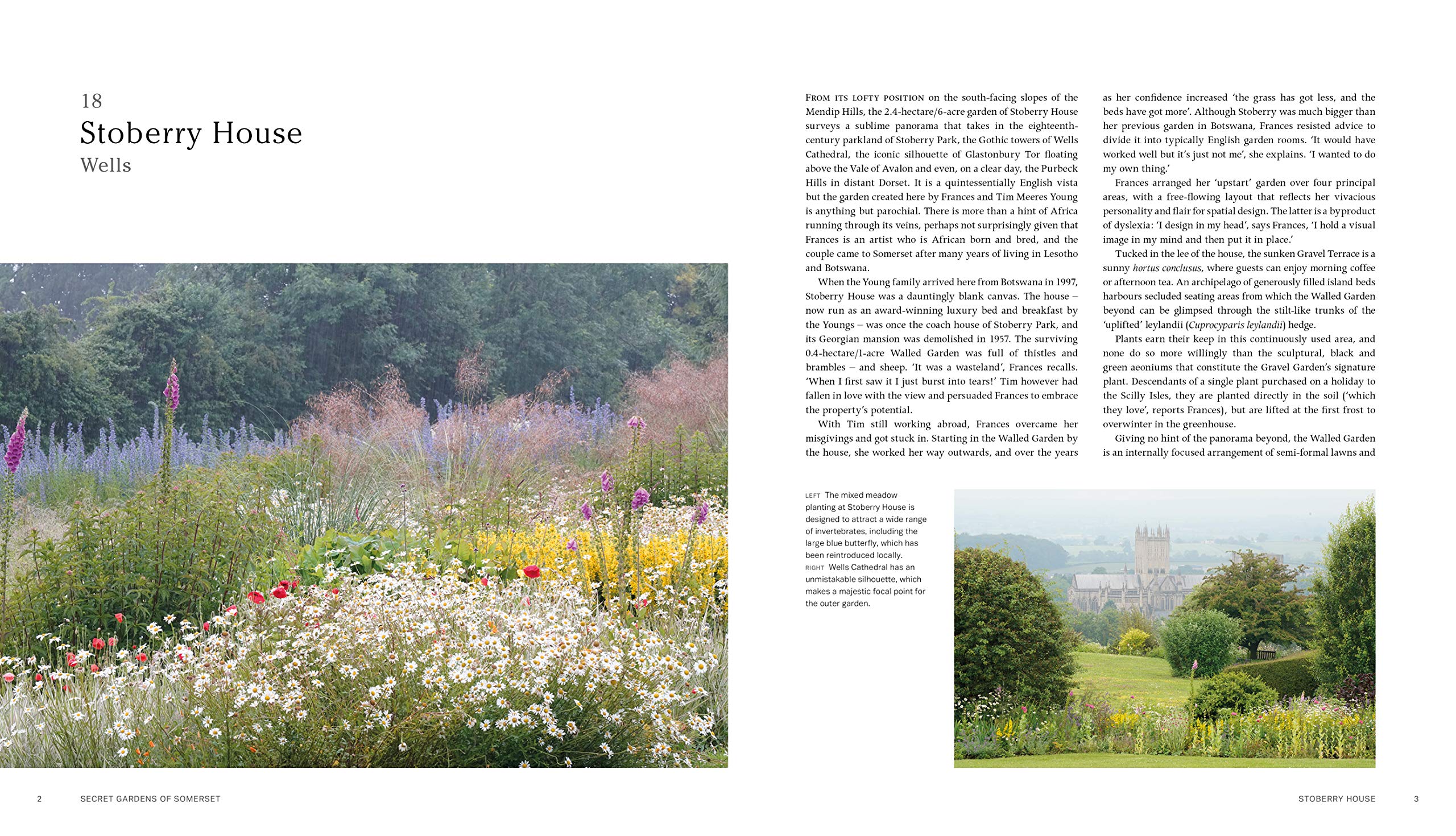 Secret Gardens of Somerset: A Private Tour (3)