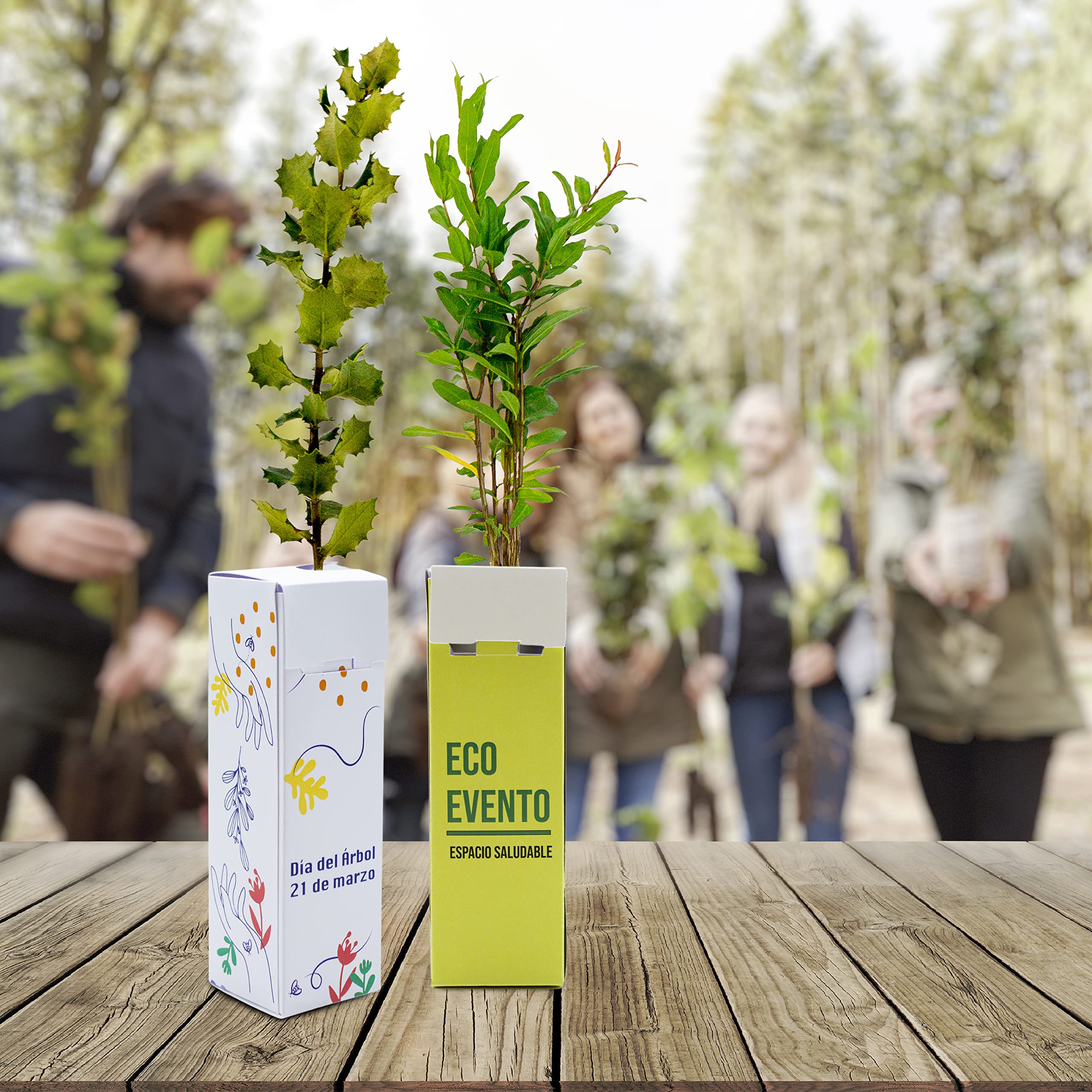 de regalo – Pack 25 Uds en Cajas de Cartón Personalizadas con la Imagen o Texto que Quieras – Amplia variedad de Especies – Promociones, Eventos, Bodas - Regala Vida