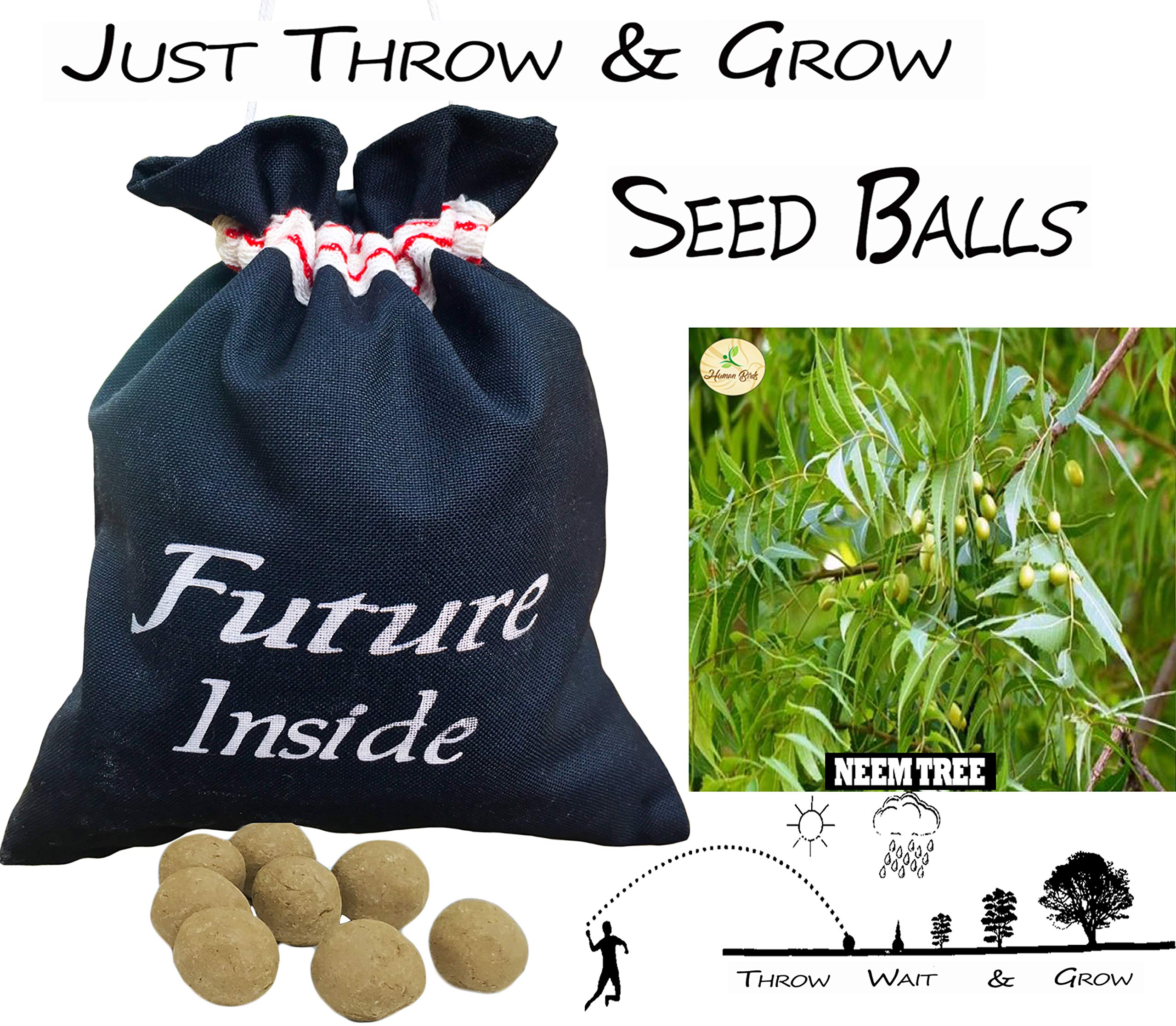 Seed Balls - (Neem tree, Vepa Ginjalu tree, Azadirachta indica tree), pack of (40) Seed Balls, JUST THROW WAIT & GROW (B08NYB3L9P) Amazon Price History, Amazon Price Tracker