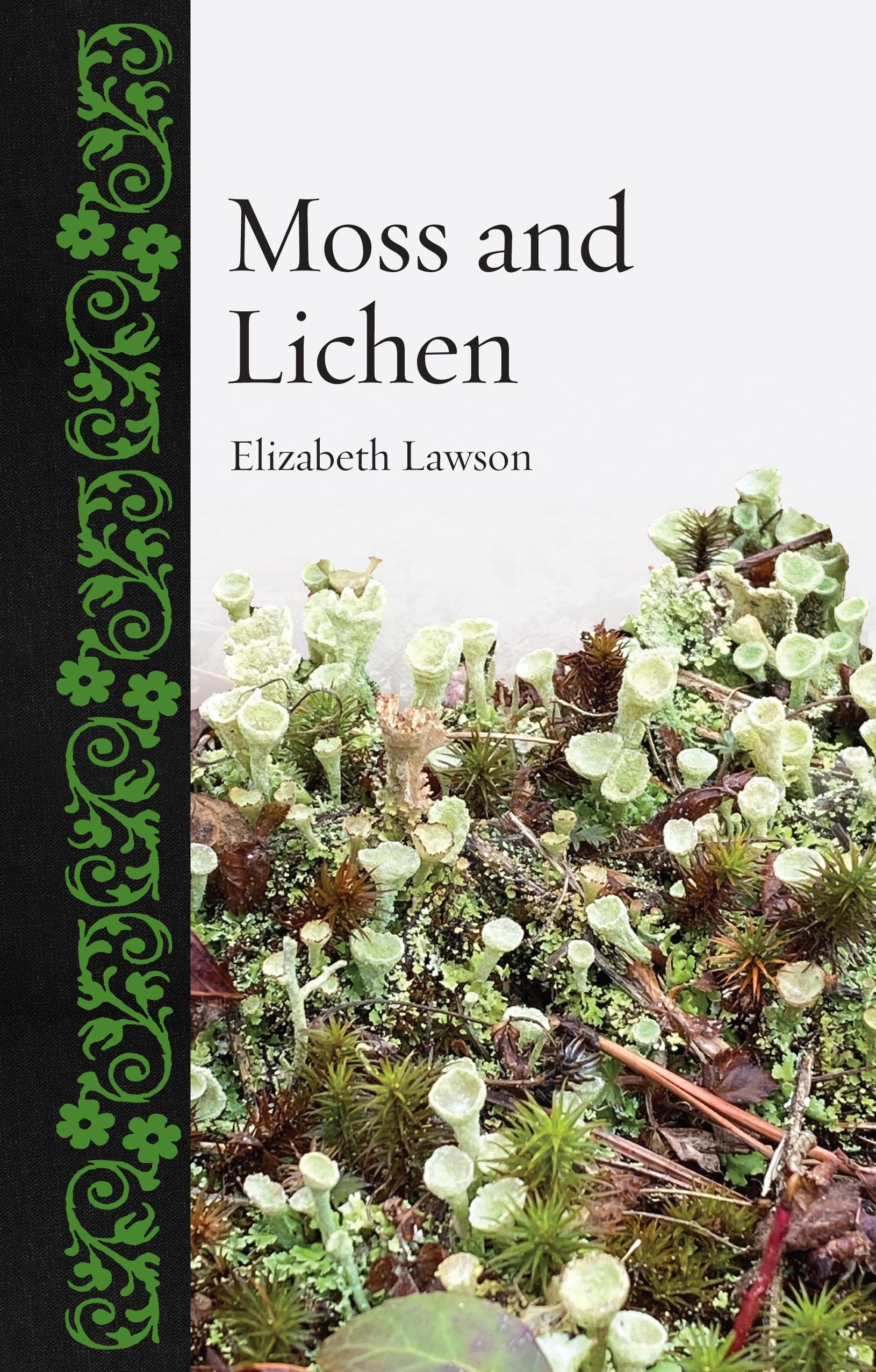 Moss and Lichen (Botanical)