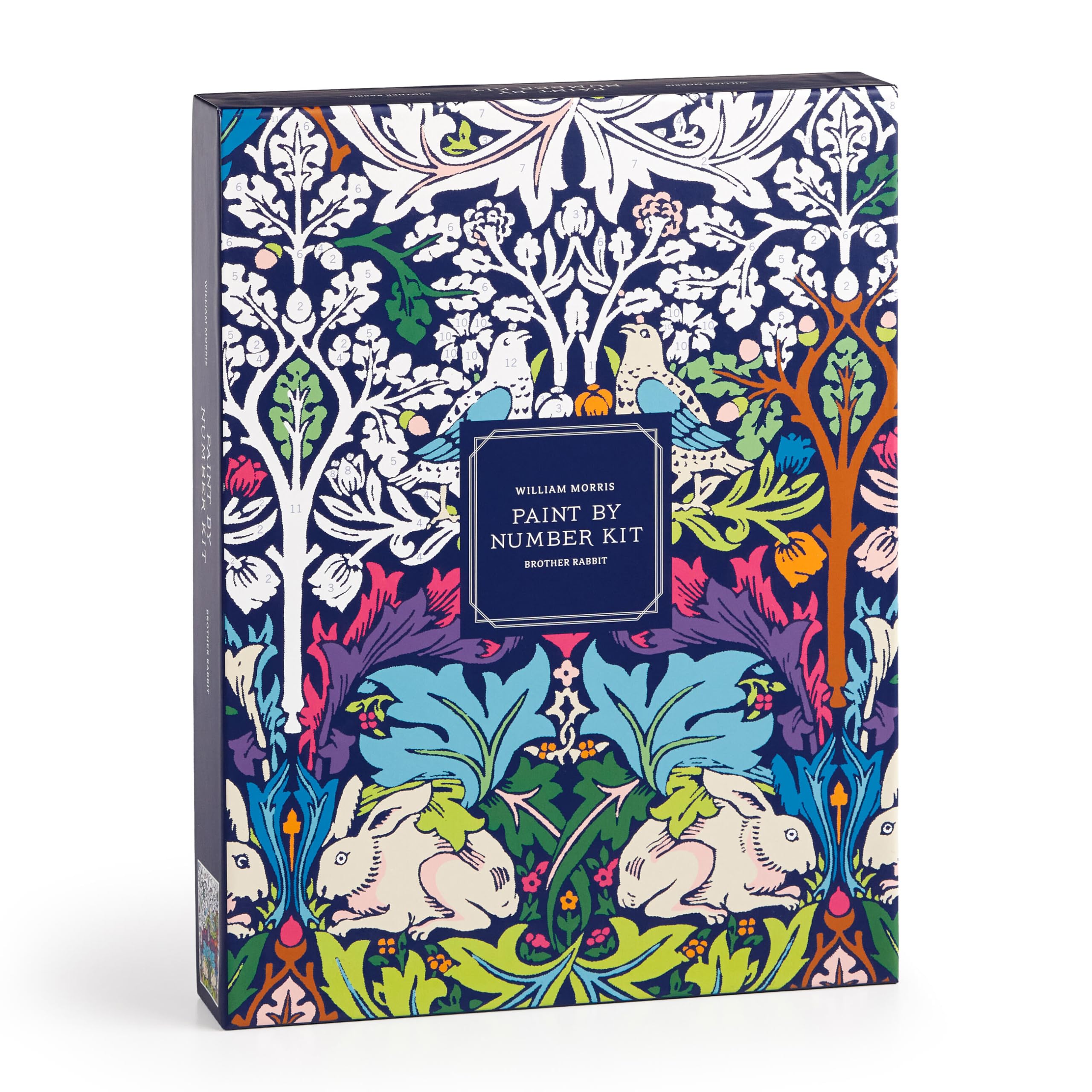 Galison William Morris Brother Rabbit – DIY 9 x 12 Paint by Number Kit with Stunning Art for Beginners and Experts Includes Paint and Brushes