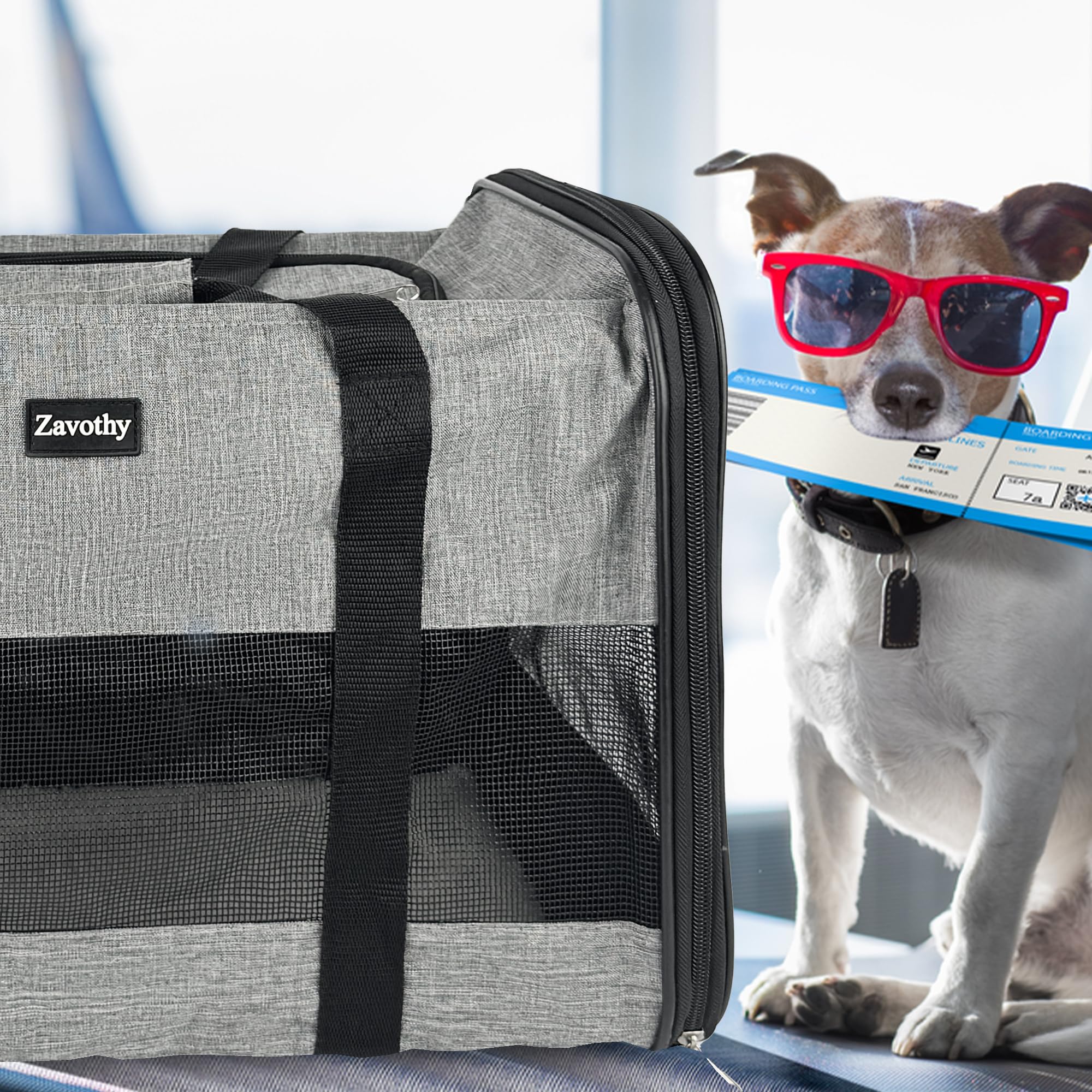 Zavothy Borsa per il Trasporto del Gatto Cane, Borsa per il Trasporto Traspirante e Pieghevole, Custodia per il Trasporto del Gatto con Tracolla Regolabile, Materasso in Peluche Rimovibile, L, Beige