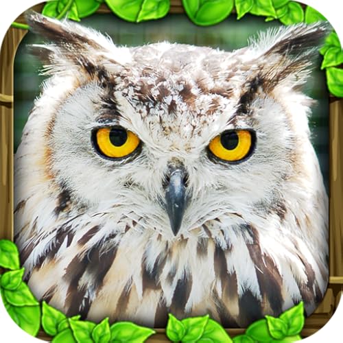 Owl Simulator