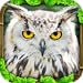Owl Simulator
