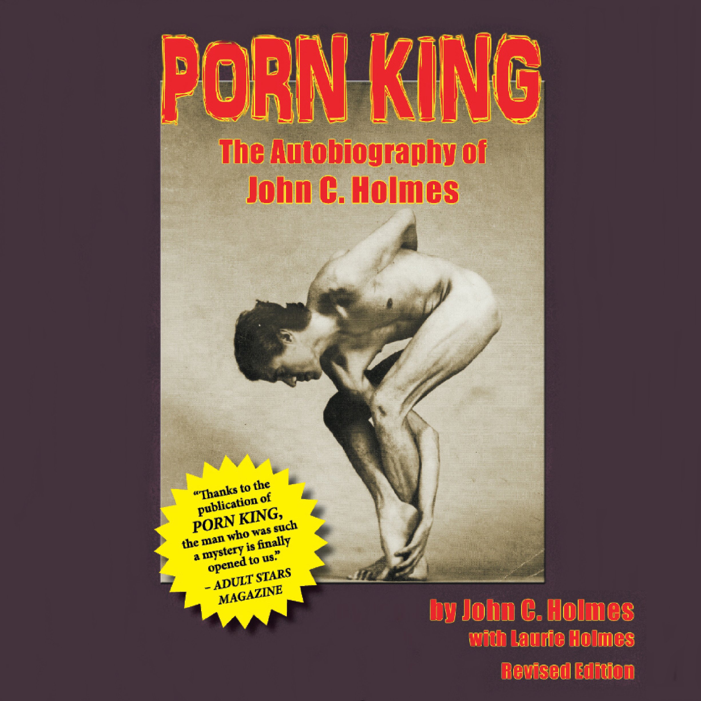 Cover art for Porn King