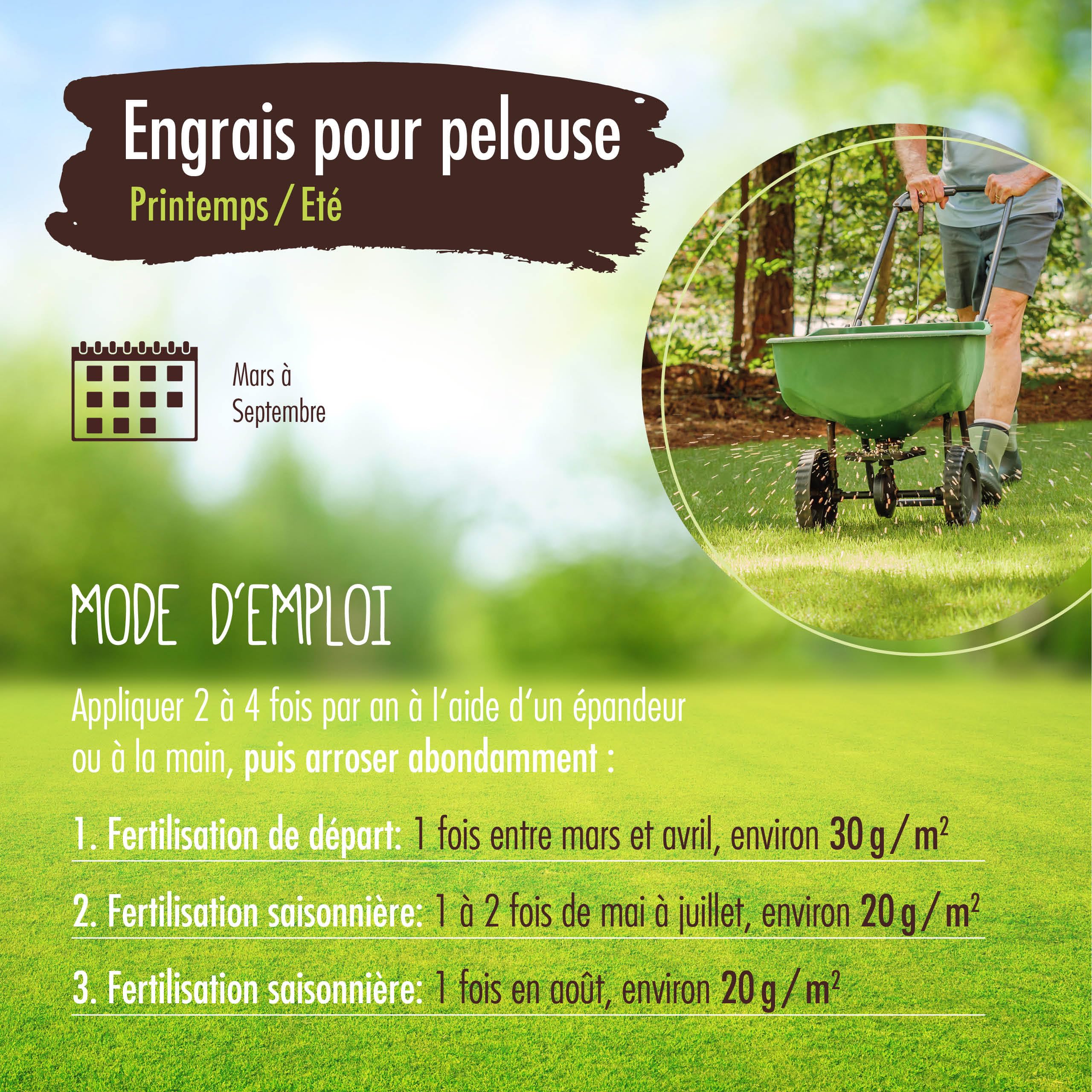 Verdurmax 5 kg d'engrais pour gazon Printemps & Été – Engrais à libération prolongée avec azote pour 250 m² de gazon vert luxuriant – Sans danger pour les chiens – Compatible avec épandeur