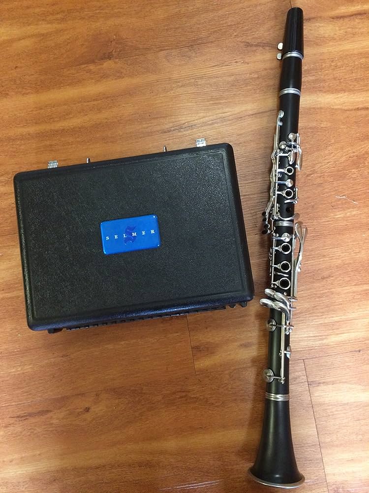美品 Selmer セルマー CL-301クラリネット 美品 Selmer セルマー CL-301クラリネット｜Yahoo!フリマ（旧