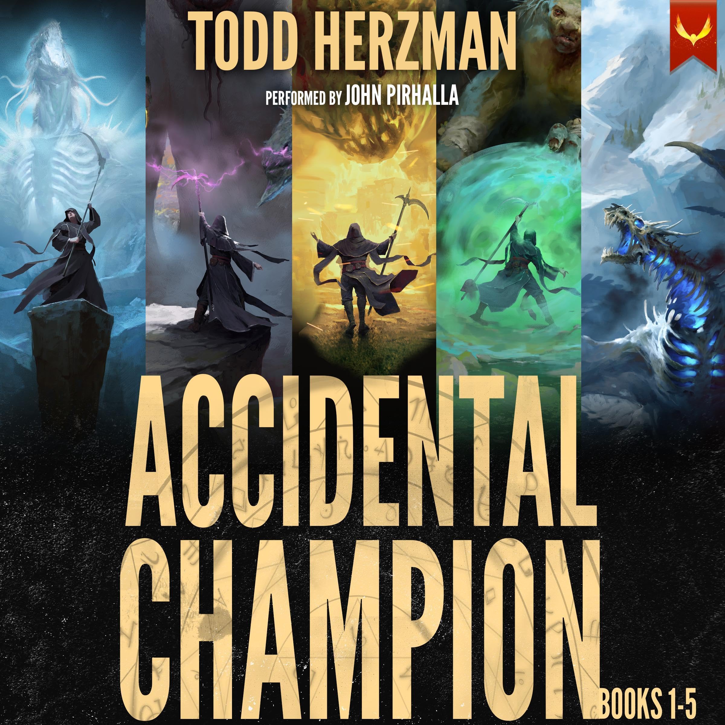 Cover art for Accidental Champion: Books 1-5