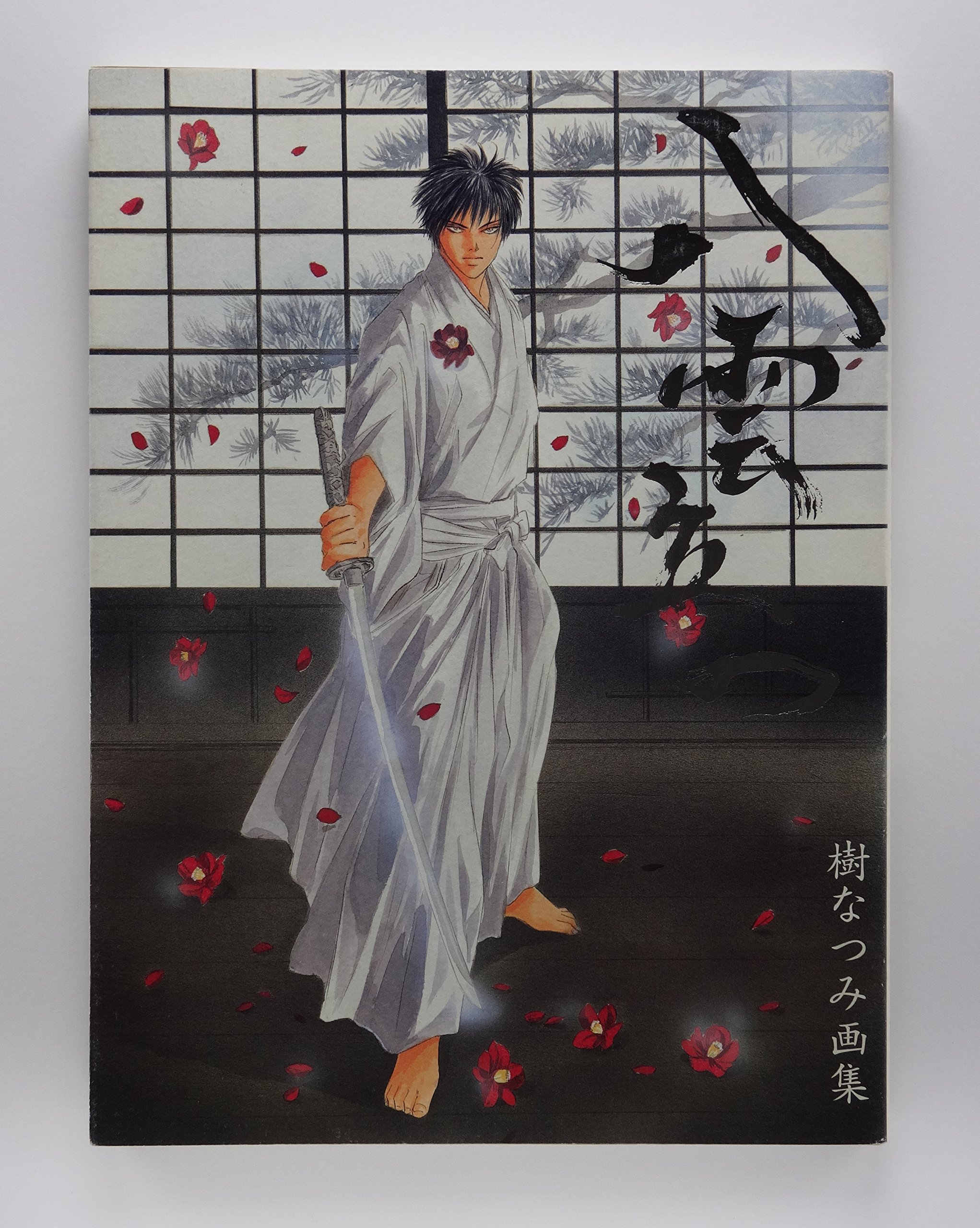 Amazon.co.jp: 八雲立つ: 樹なつみ画集 : 樹 なつみ: 本