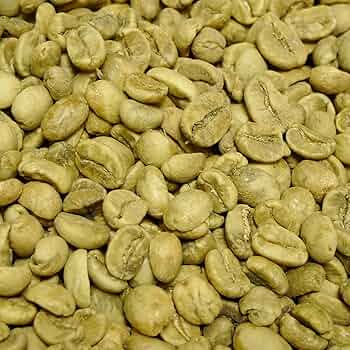 爆安!![コーヒー生豆】ホンジュラスHG 8kg ※送料無料 爆安!![コーヒー生豆】ホンジュラスHG 8kg ※送料無料 爆安!![コーヒー