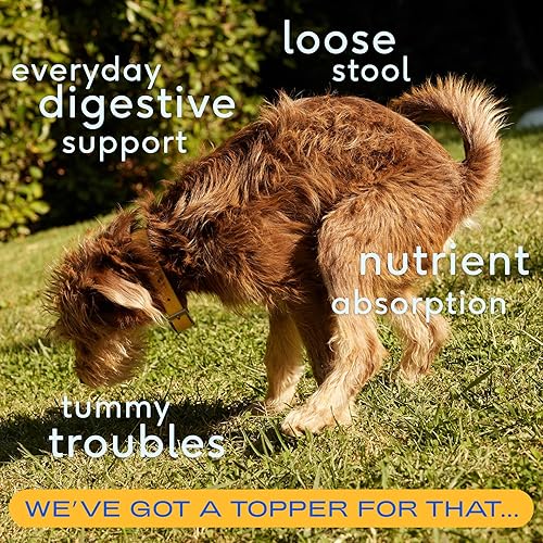 Miniatura 3 de Native Pet Aceite Omega para perros y calabaza para perros | Suplementos de aceite de pescado para perros | Fibra de calabaza orgánica totalmente