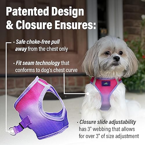 Vista 179 de DOGGIE DESIGN American River - Arnés para perro de la colección ombré, color frambuesa (S (circunferencia de 13 a 16 pulgadas)