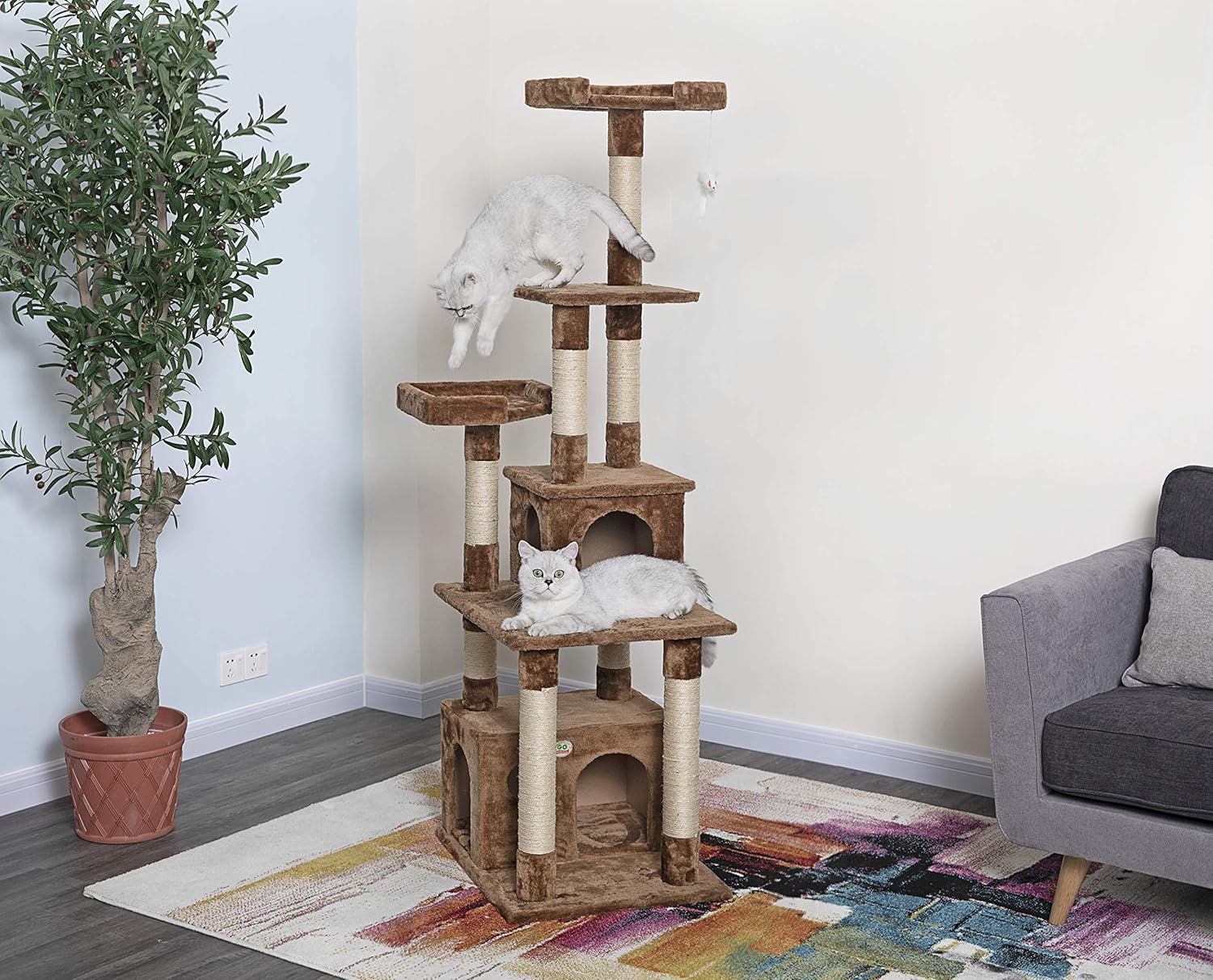 birch cat tree