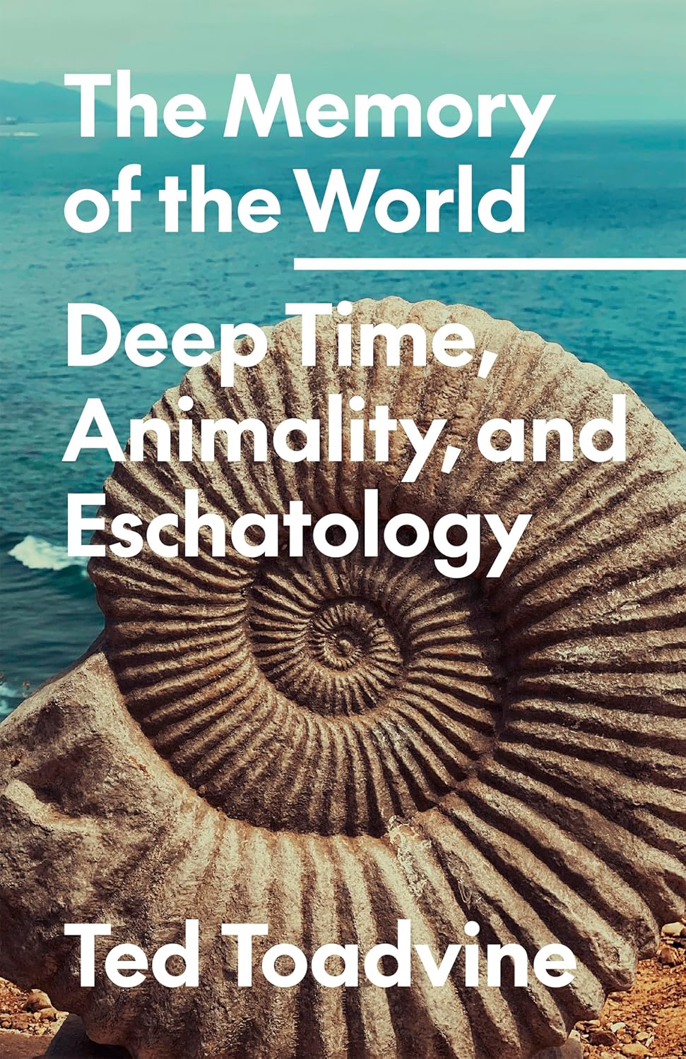 Amazon.co.jp The Memory of the World Deep Time, Animality, and