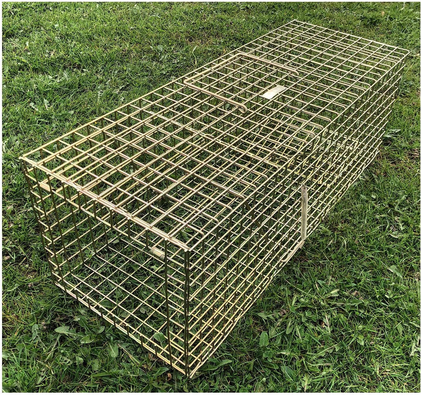 TrapMan Rabbit trap, Pro Gold rabbit trap, humane & effective rabbit control, UK made Amazon