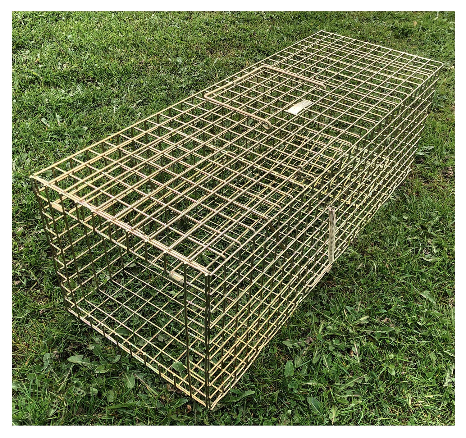 TrapMan Rabbit trap, Pro Gold rabbit trap, humane & effective rabbit control, UK made