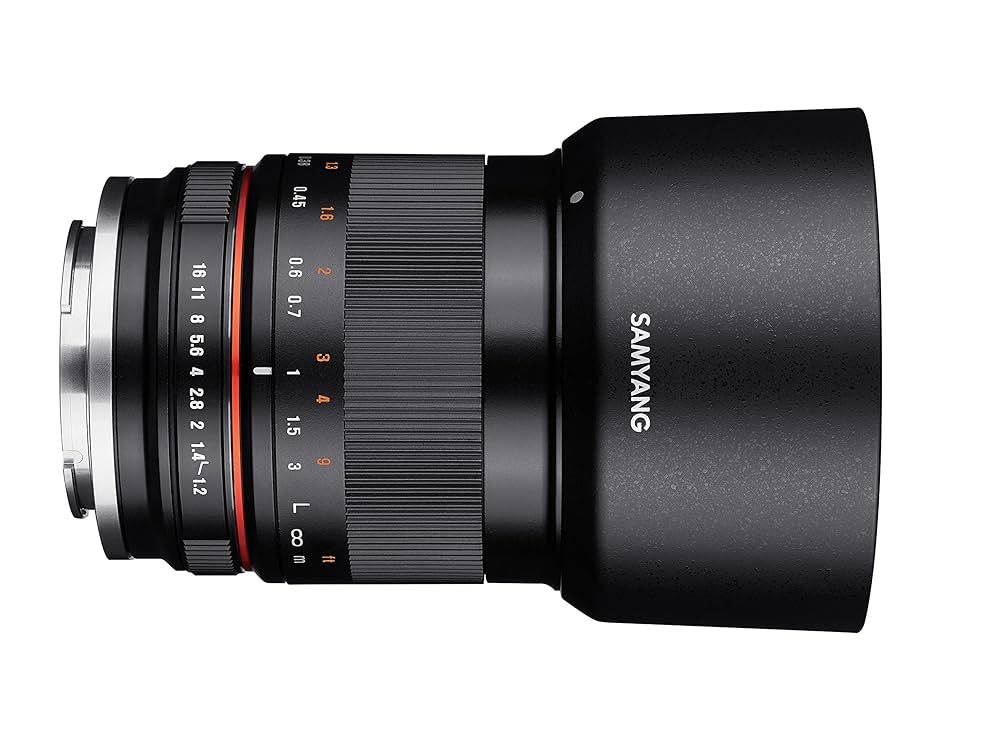 SAMYANG 単焦点標準レンズ 35mm F1.2 ED AS UMC CS マニュアルフォーカス キヤノン EOS M用 APS-C対応 91G2IqxUCAL._UF1000,1000_QL80_.jpg