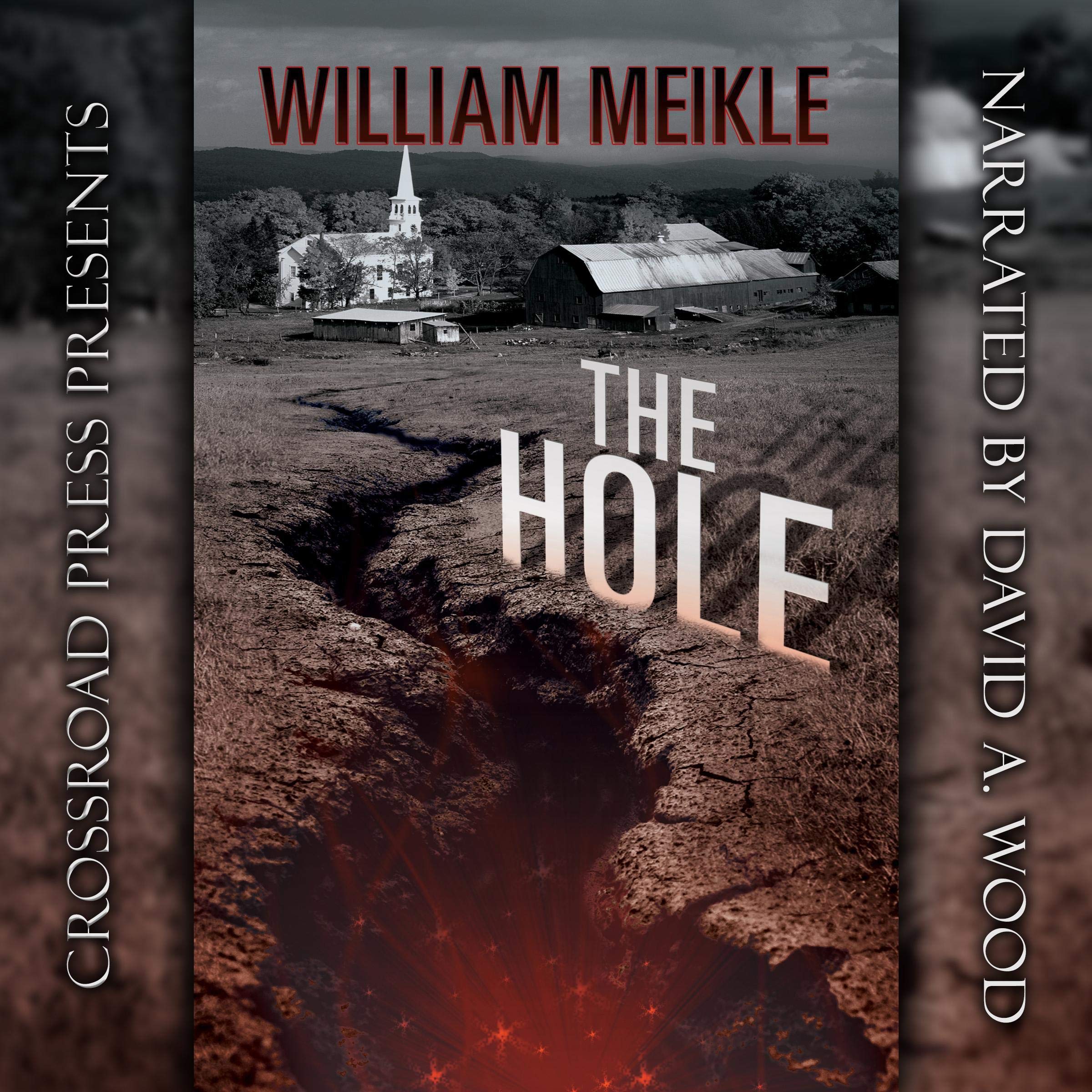 Cover art for The Hole