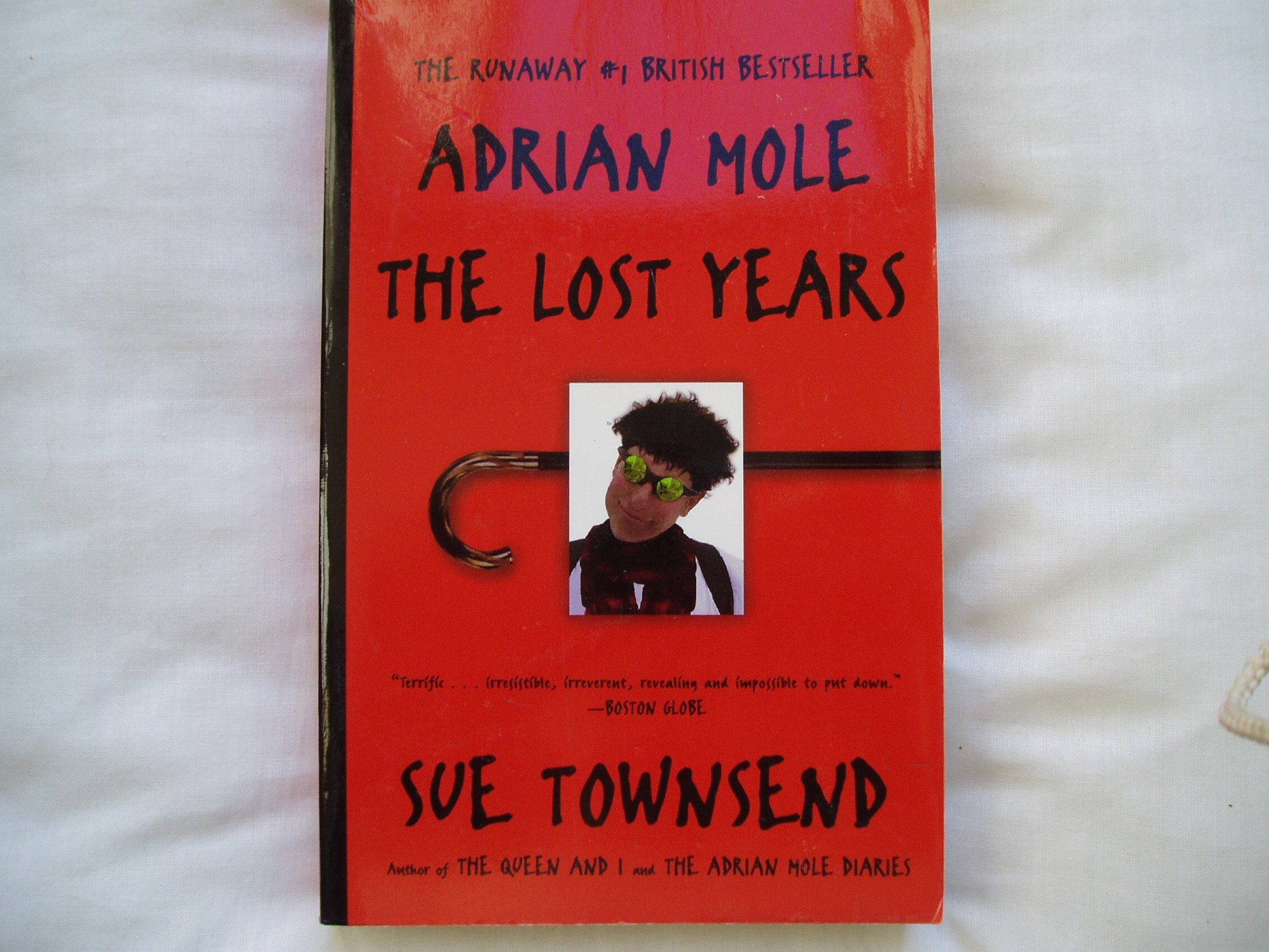 Adrian Mole: The Lost Years